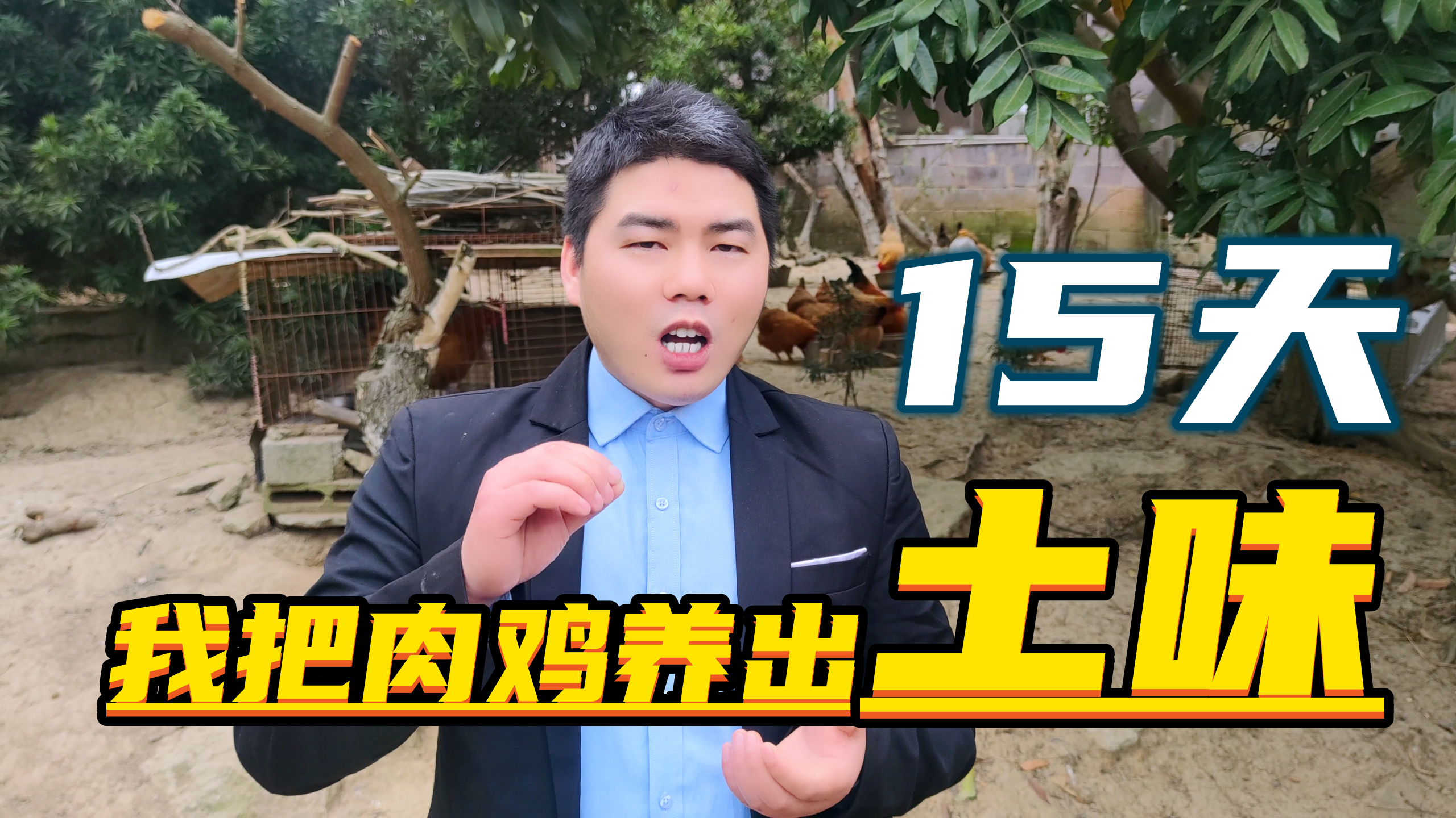 岳老师带你实操:15天肉鸡变“土鸡”?生态养鸡,健康好吃成本低