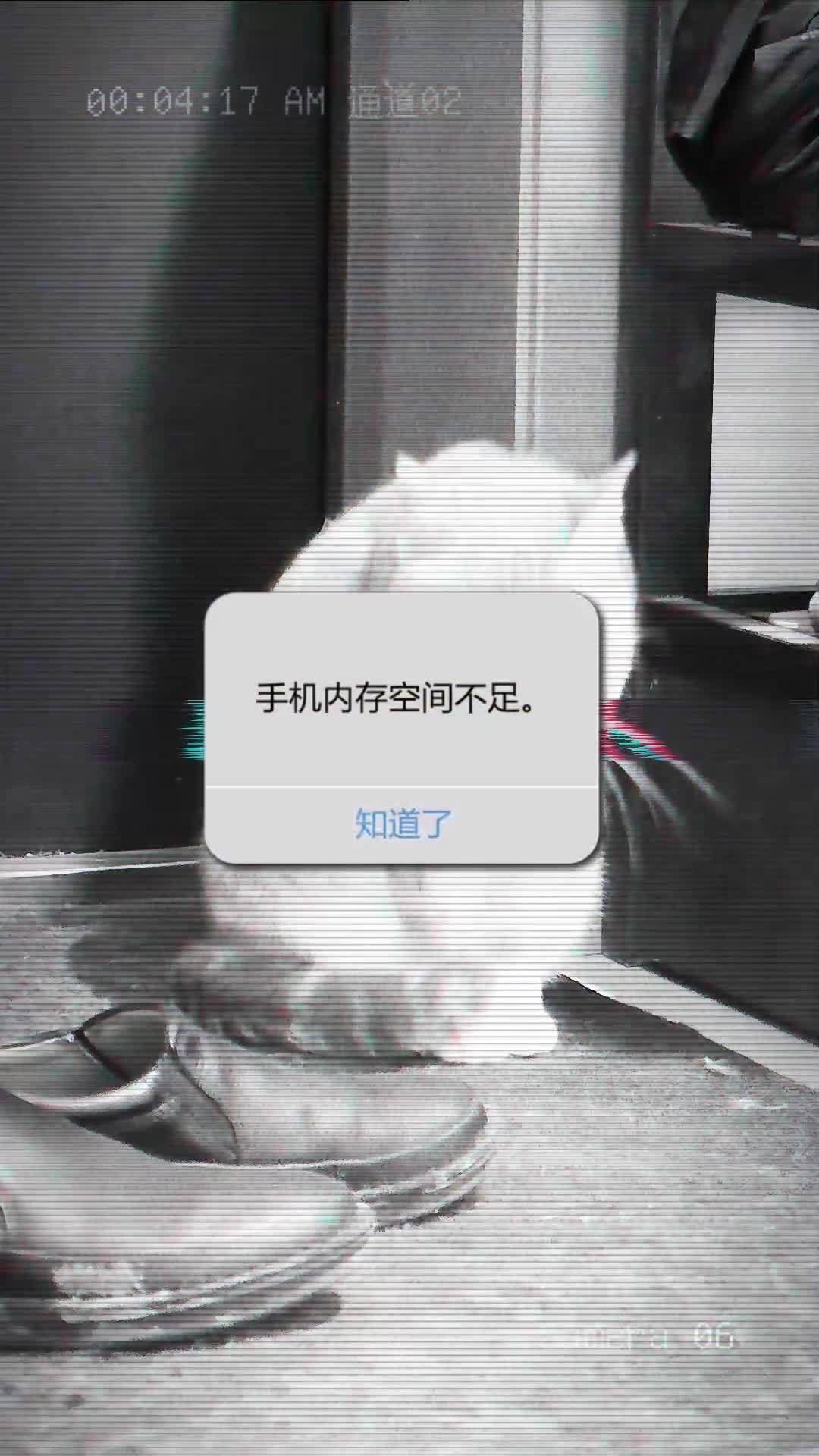 空间怎么进不去，空间为什么一直登陆不上去