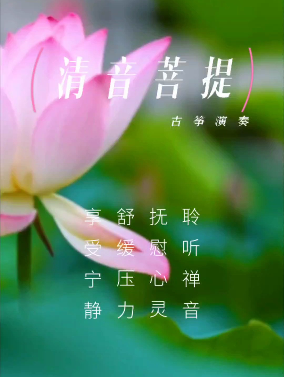 「音乐静听」42古筝《清音菩提》聆听禅音,抚慰心灵,舒缓压力2