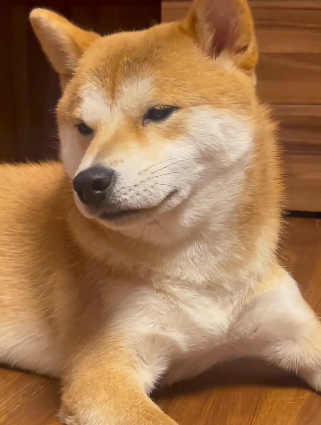 你小小的微笑就像九转大肠,嘻嘻嘻!