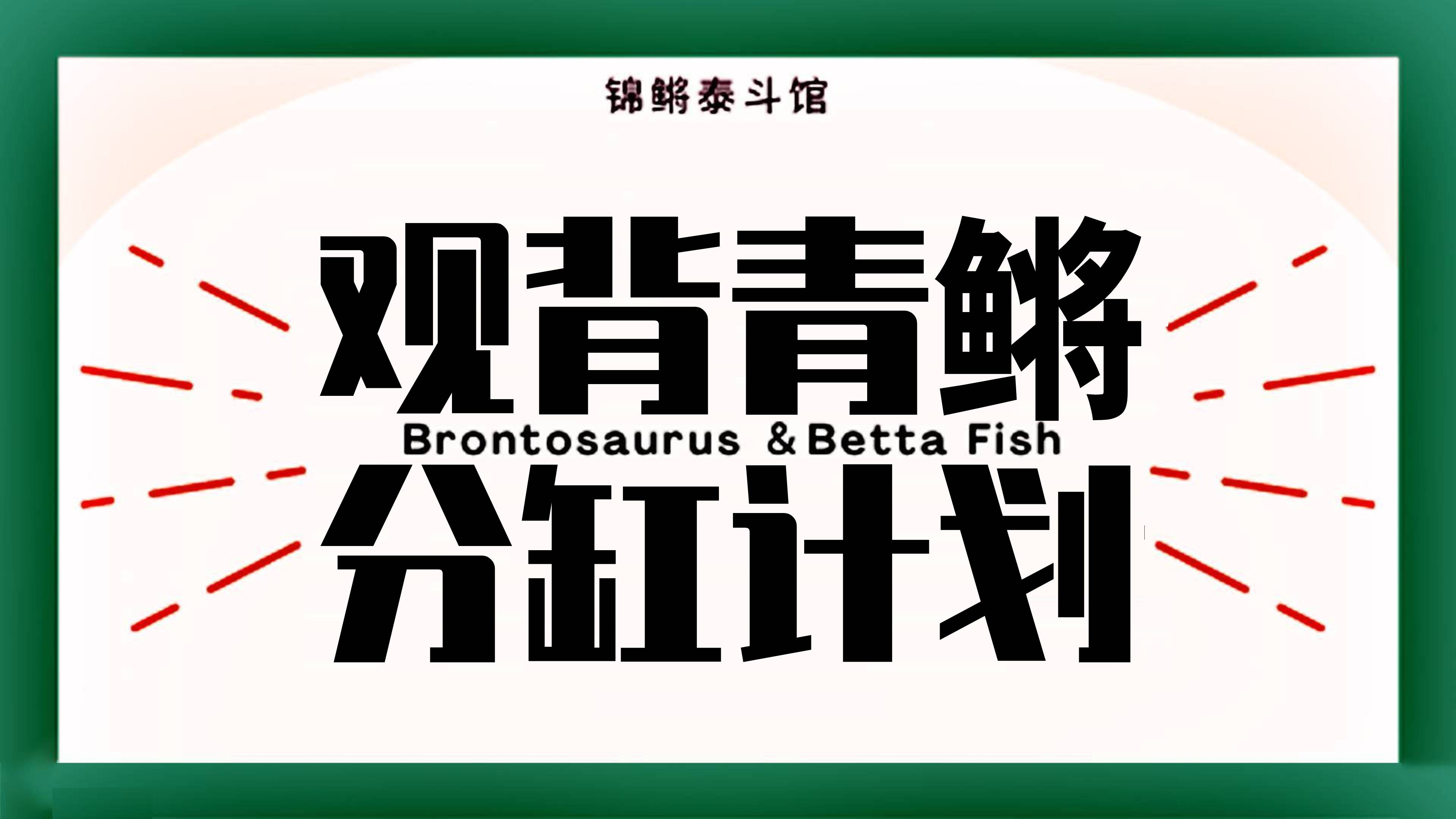 家里的观背青鳉鱼苗都长大了,开始分缸!