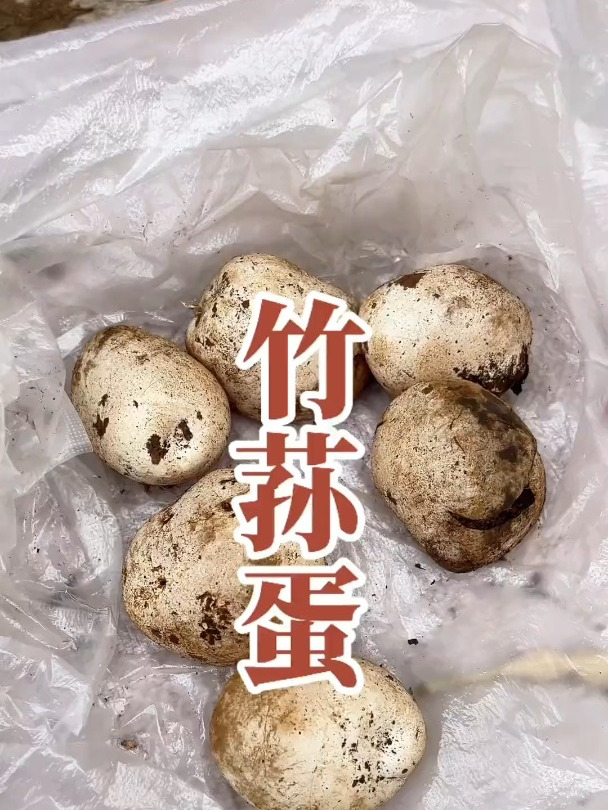 你吃过竹荪蛋吗?