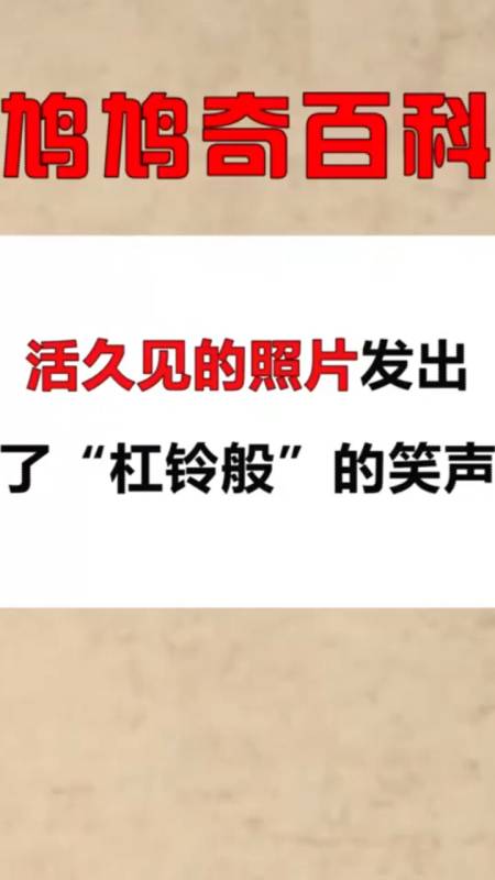 冷知识大全:活久见的照片,发出了"杠铃般"的笑声
