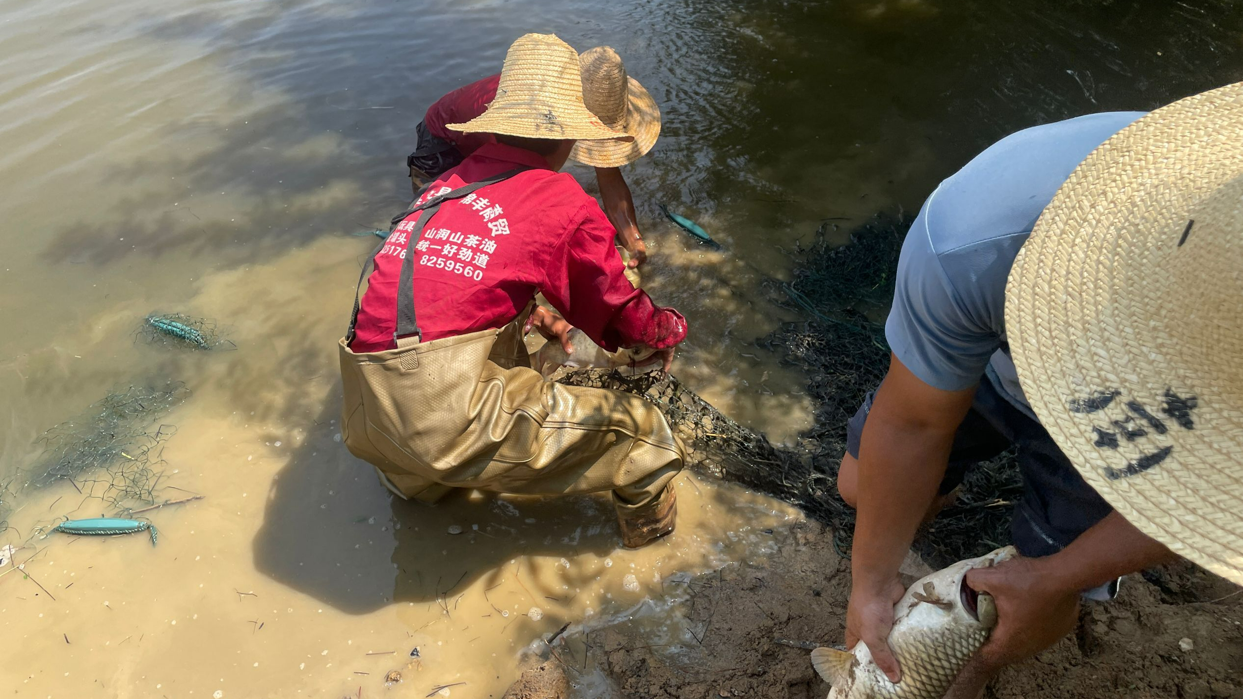 小秀带你看户外网拖鱼,池塘里的鱼蹦来蹦去,看看这鱼大不大?
