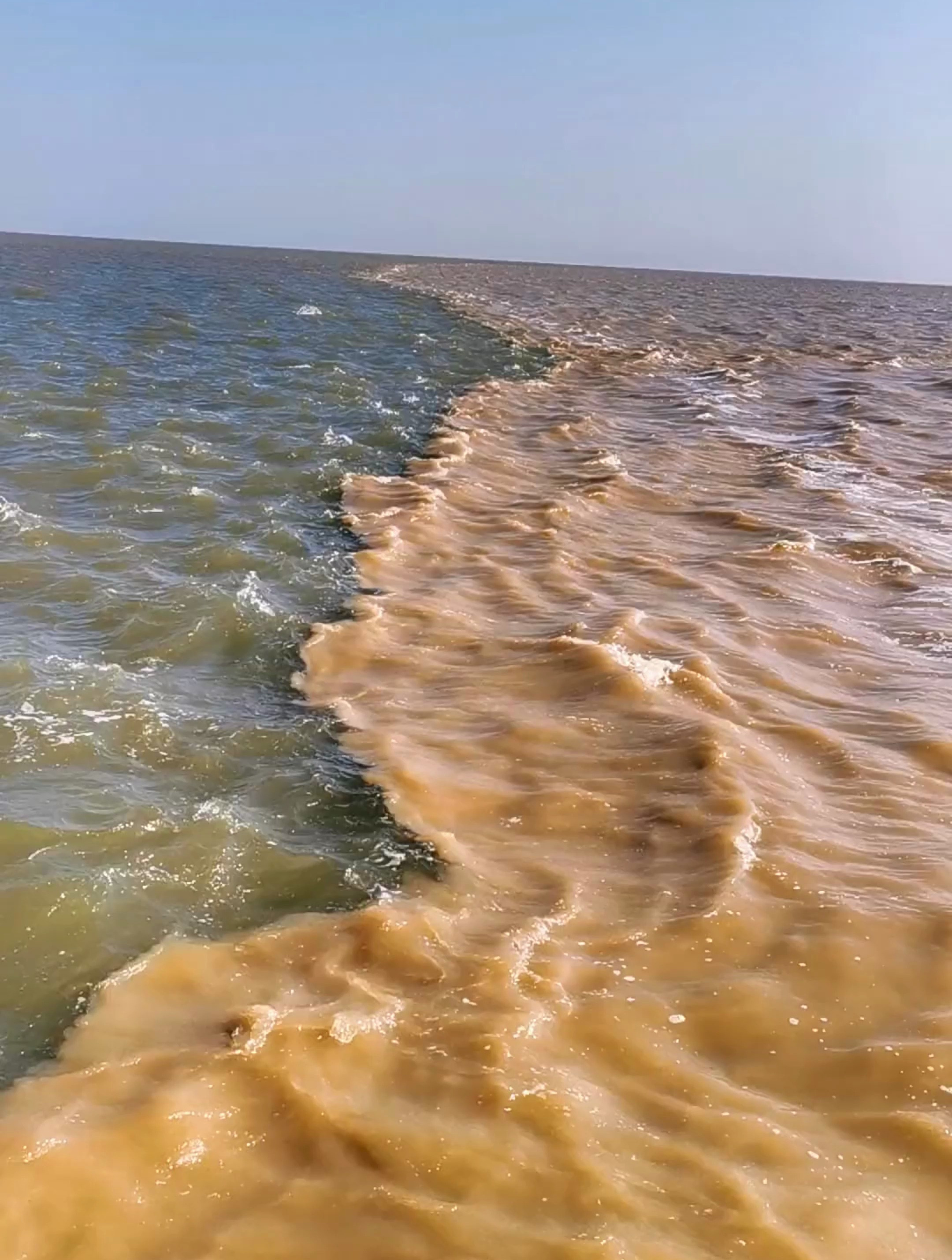 黄河入海口 永不相融