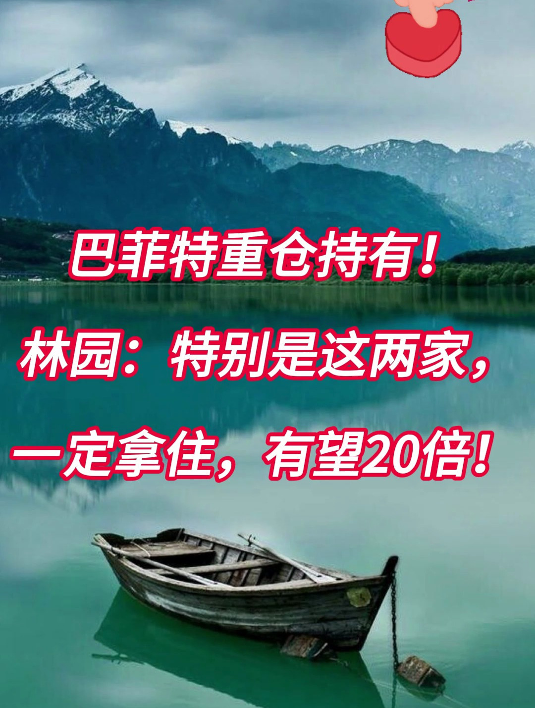 巴菲特重仓持有!林园:特别是这两家,一定拿住有望20倍!