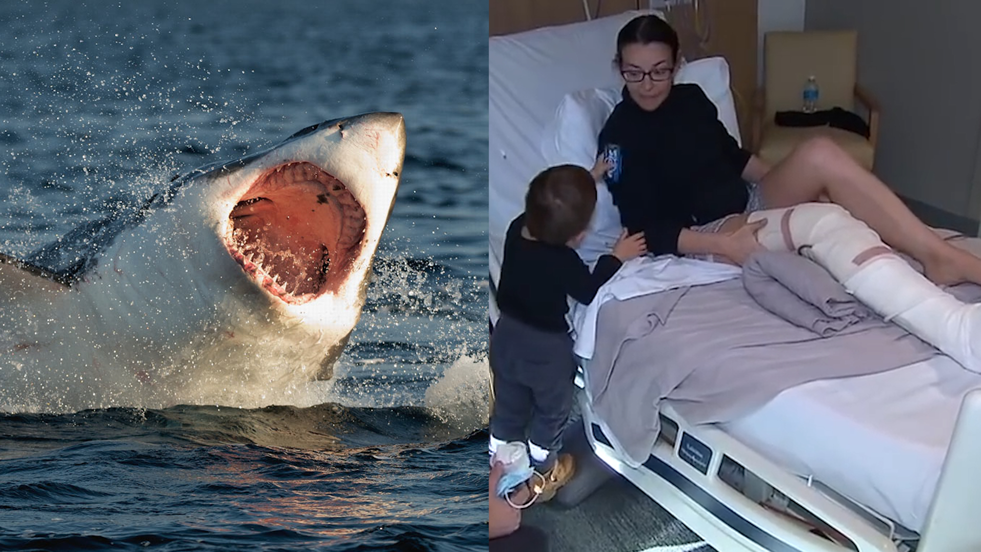男友力爆棚!女子冲浪被鲨鱼咬住大腿,男友一头扎进海里暴揍鲨鱼