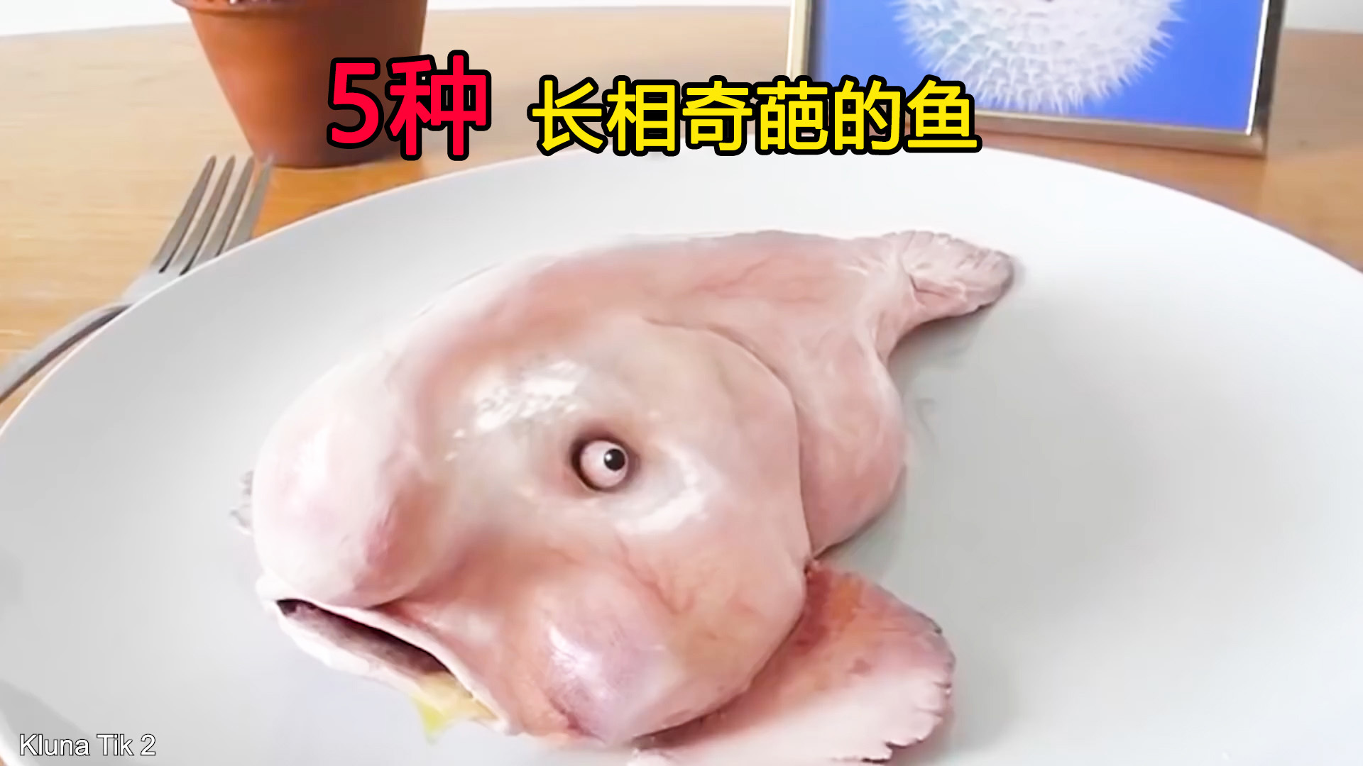 5种长相奇葩的鱼竟然长有人脸人的牙齿