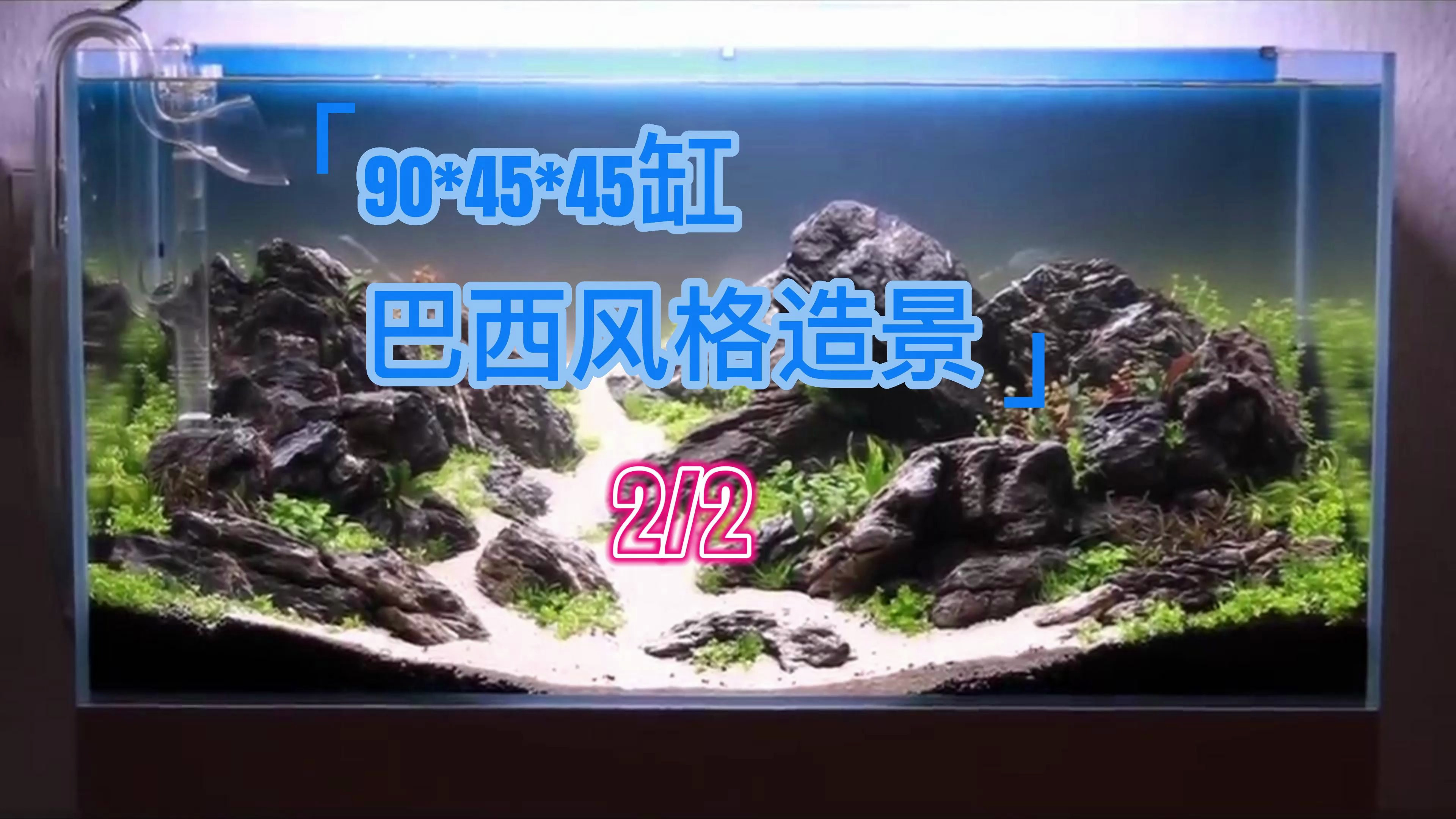 90缸水族造景教程-IAPLC 2020巴西风格(2/2)