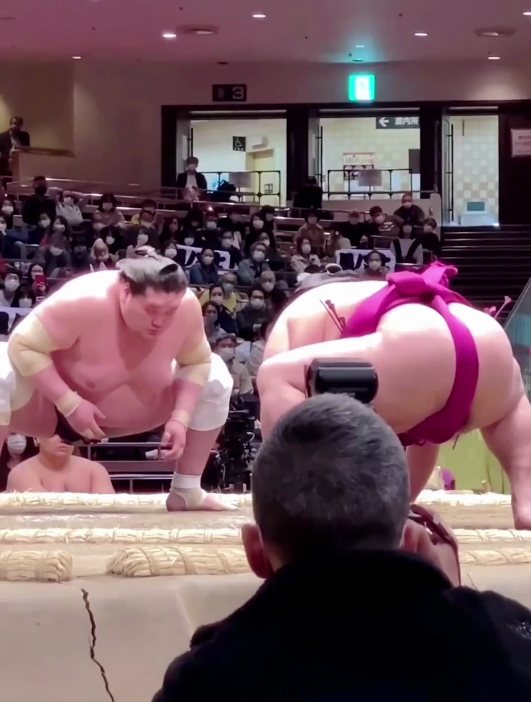 新横纲照ノ富士与老横纲白鹏对比,大家认为怎么样!同属不知火-度小视