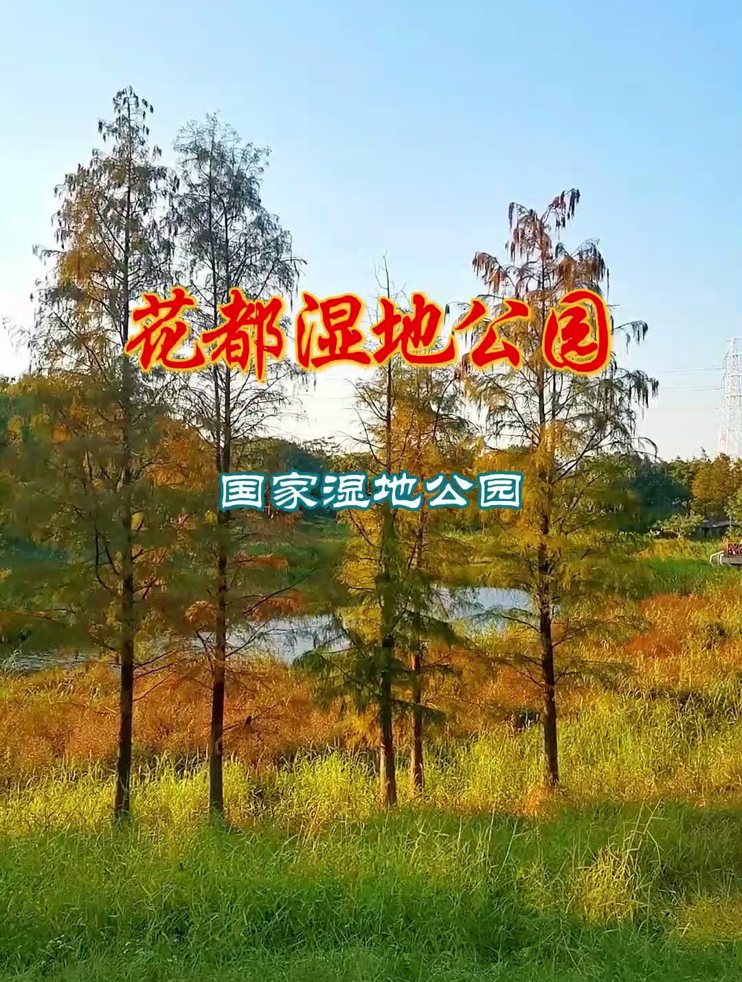 花都溼地公園 感受秋天的味道