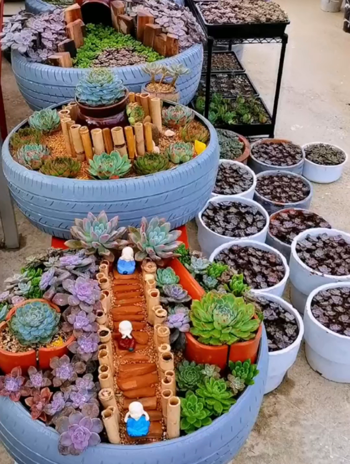 想把这几个轮胎多肉搬出去露养,但是又那么沉 那就想想好了~-度小视