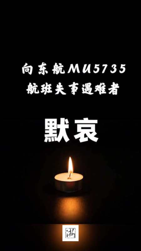 指挥部确认东航mu5735航班上人员已全部遇难向遇难同胞默哀沉痛哀悼愿