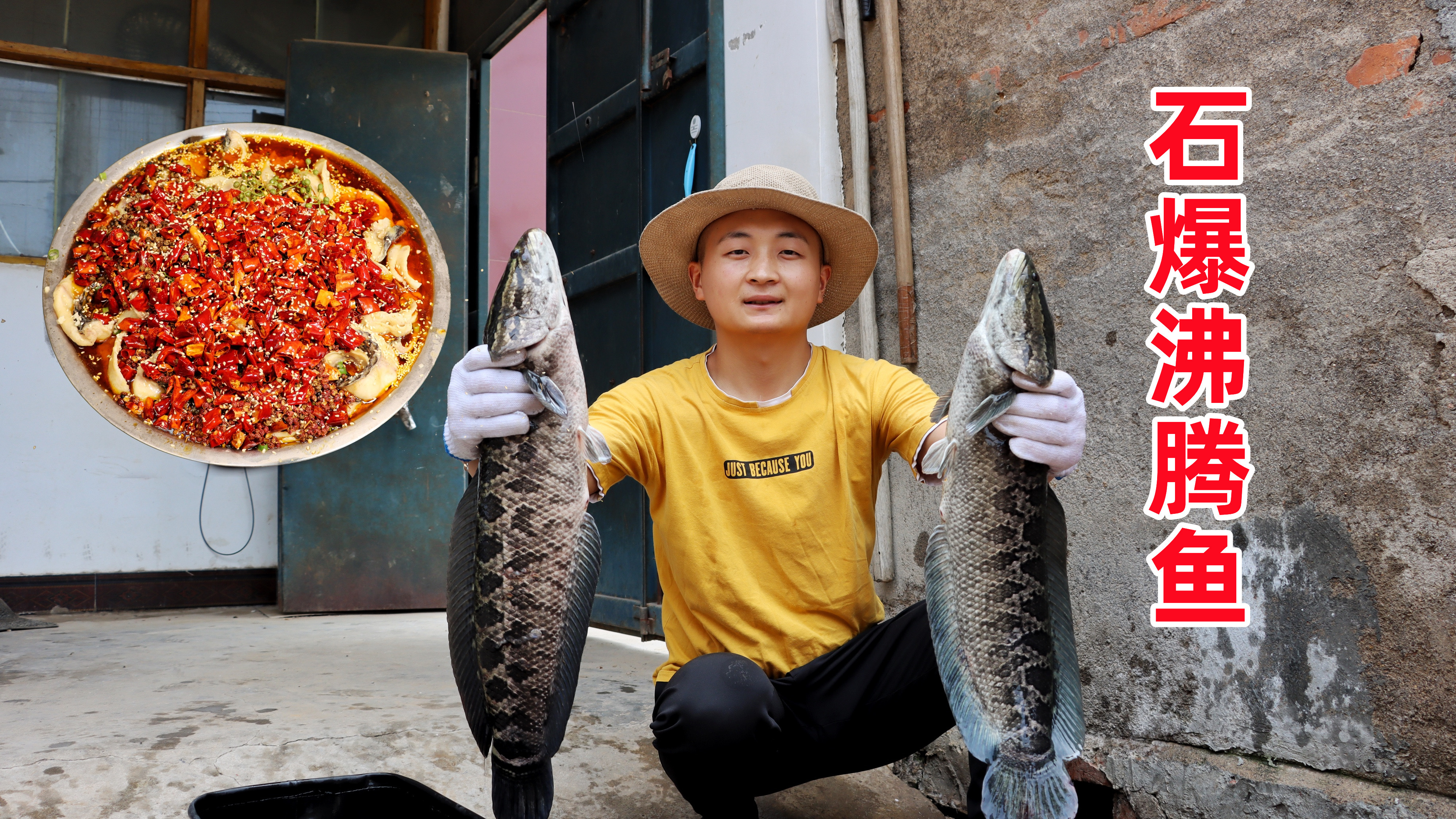 朋友送来两个大黑鱼，大冬做“石爆沸腾鱼”，滑嫩鲜香