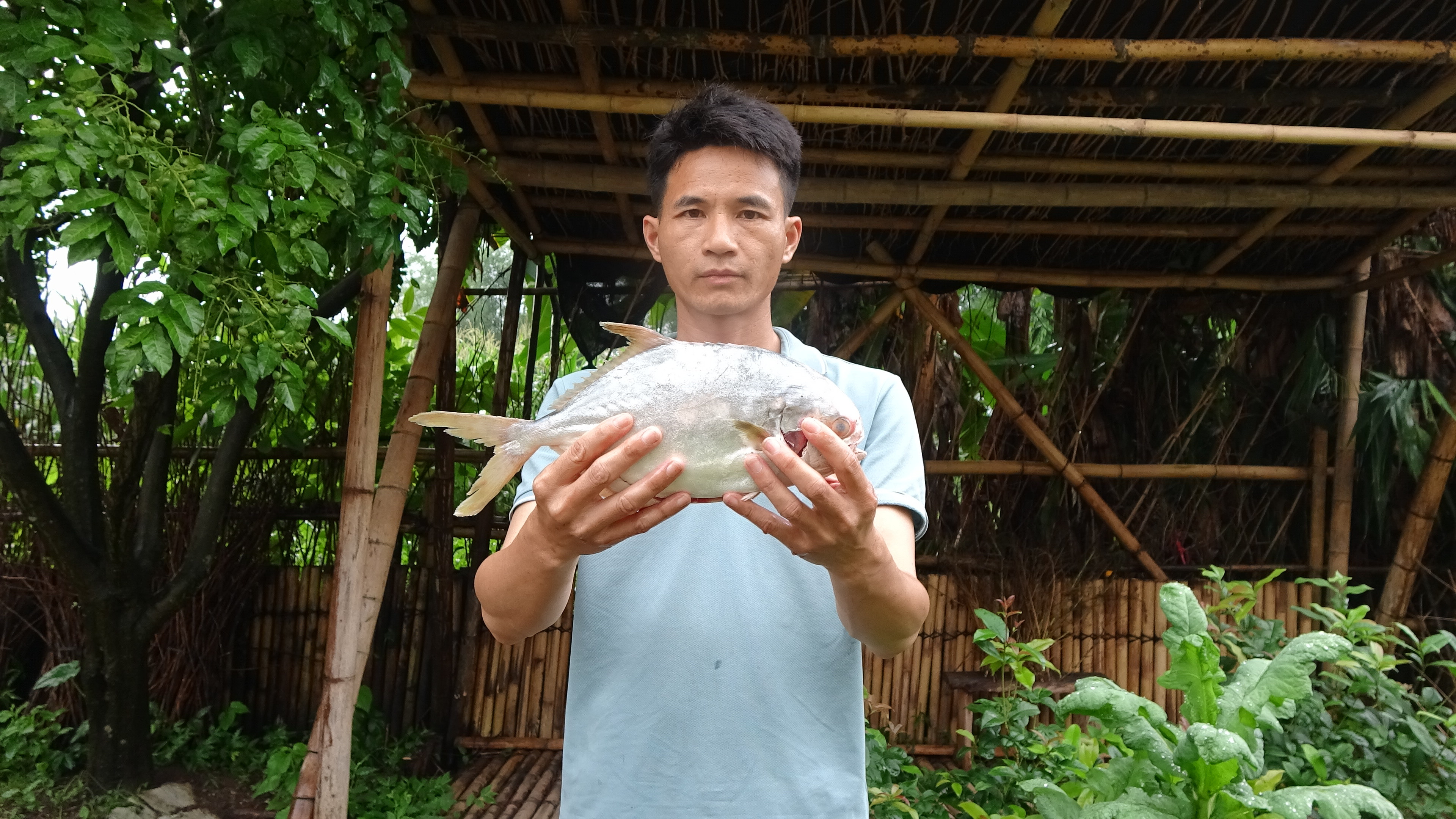 20块买条长满牙齿的海鱼，50块买配方做成美食，全家人吃完都点赞