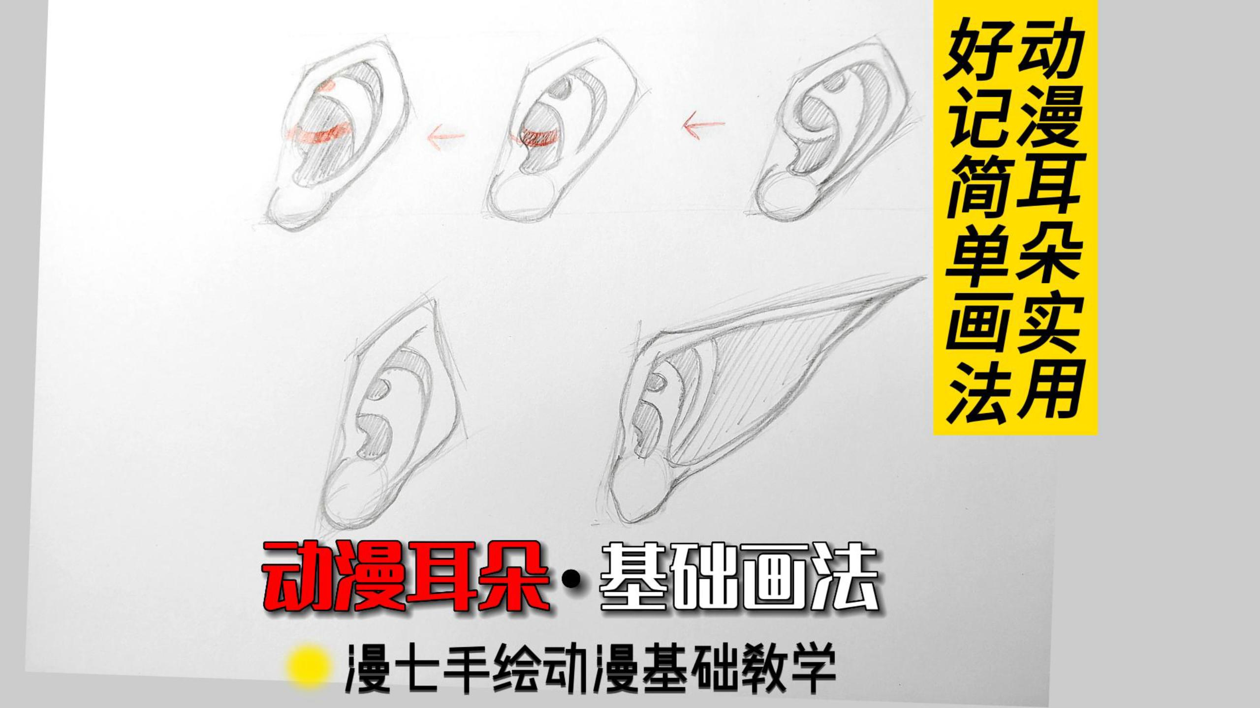 漫画耳朵的基本画法,耳朵怎么画。零基础手绘动漫教学