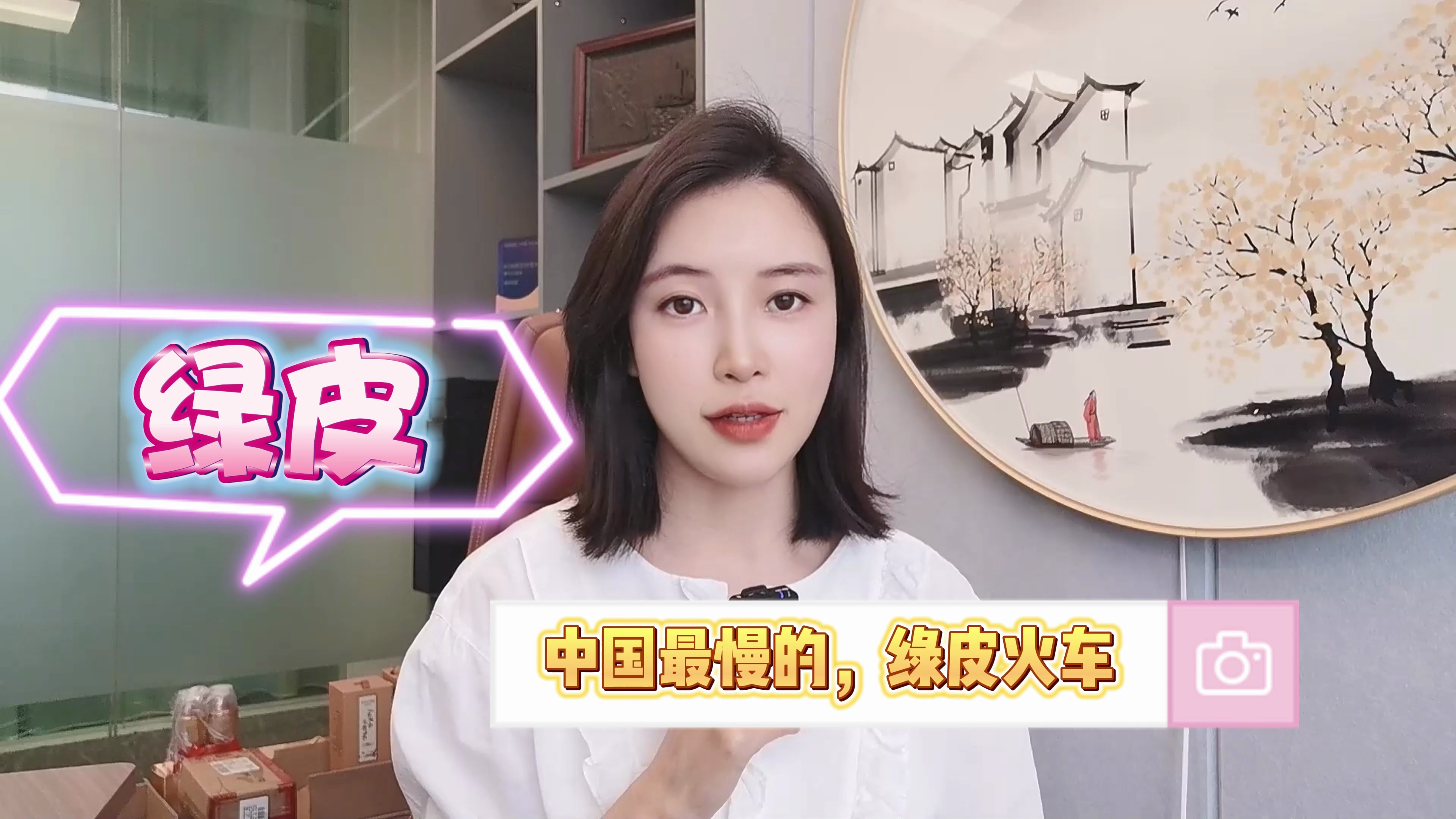 它,中国最慢的绿皮火车,任劳任怨大无私!