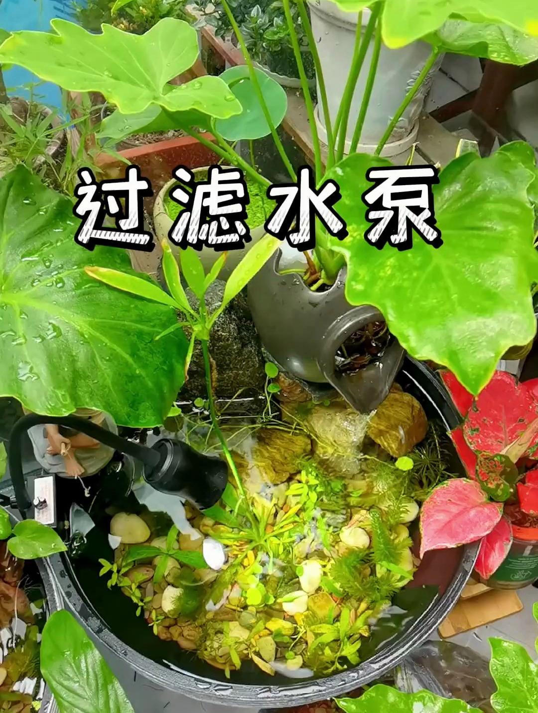 你的鱼缸过滤水泵是什么样子?我这个很好用!