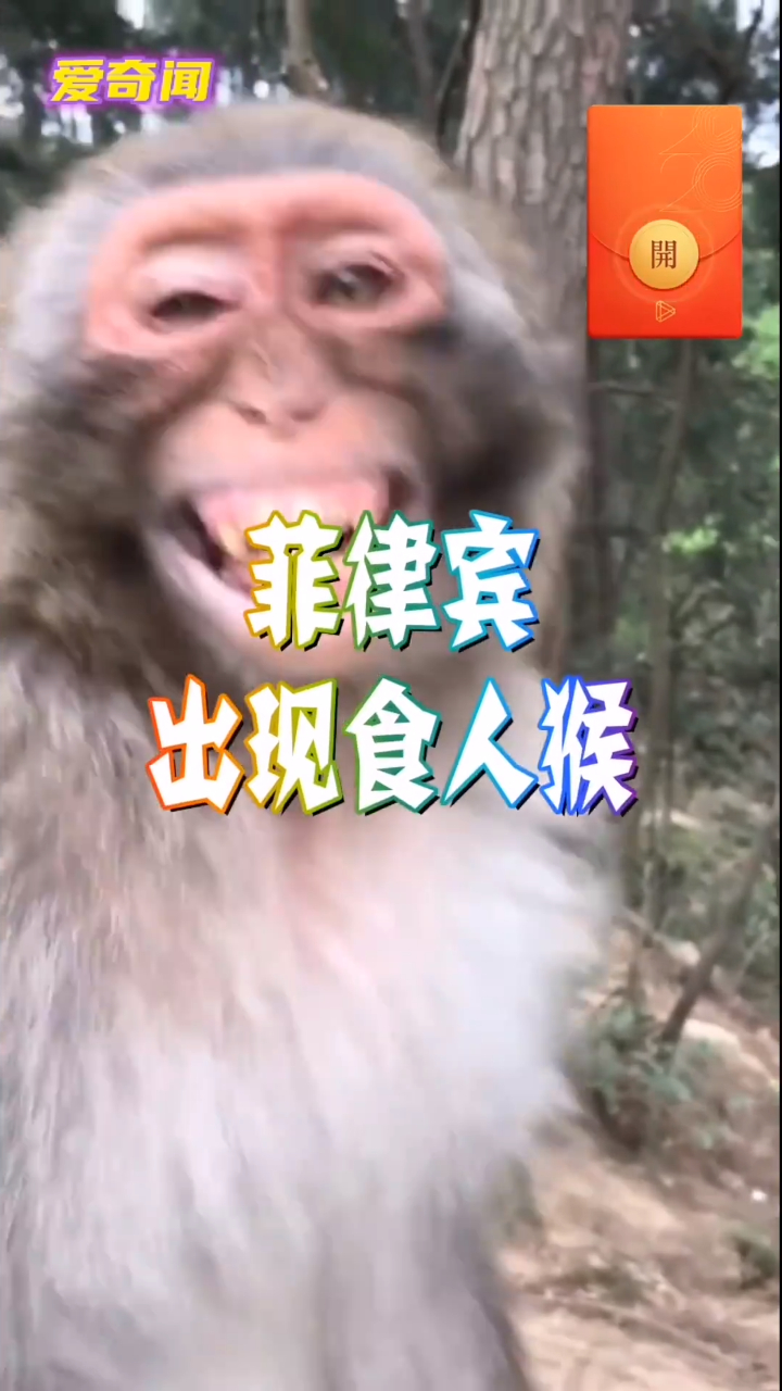 菲律宾出现食人猴,看完惊呆了,佩服佩服!