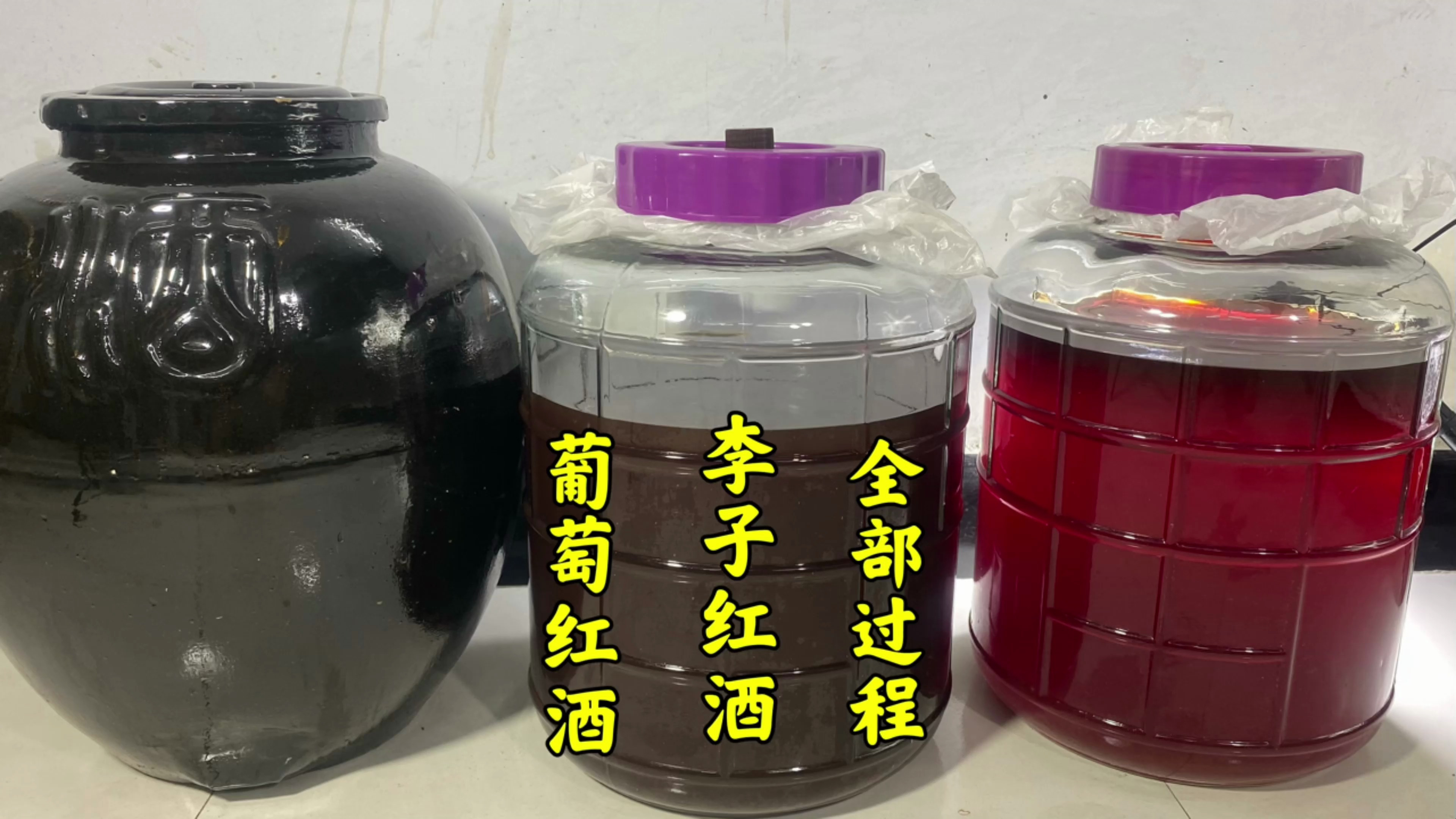 87T做红酒到底在什么季节酿,室温多少度合适?今天详细分享做法