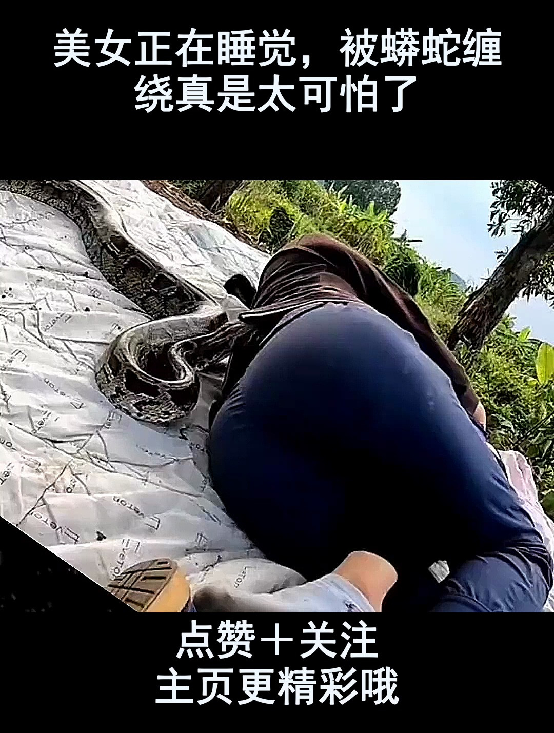 美女正在睡觉,被蟒蛇缠绕真是太可怕了