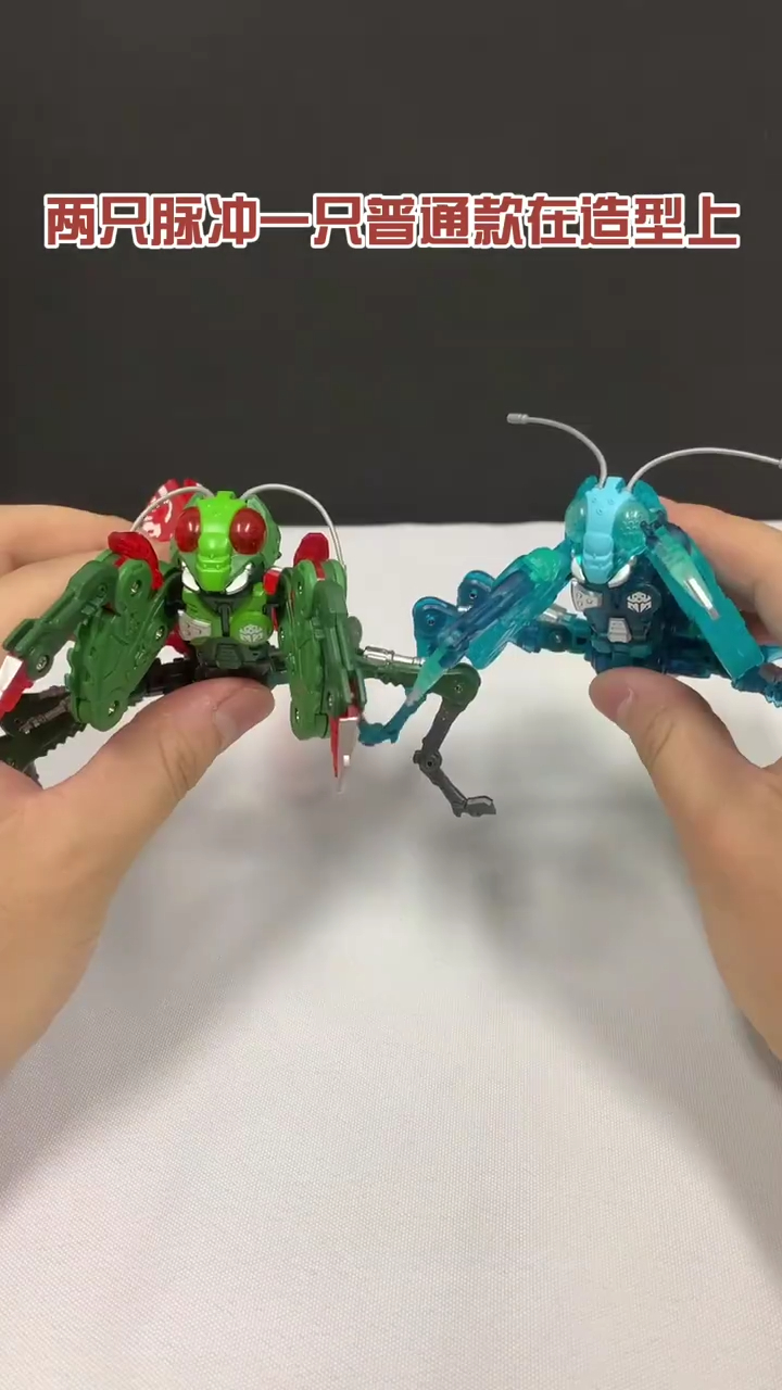 猛兽匣这透明螳螂也太帅了!