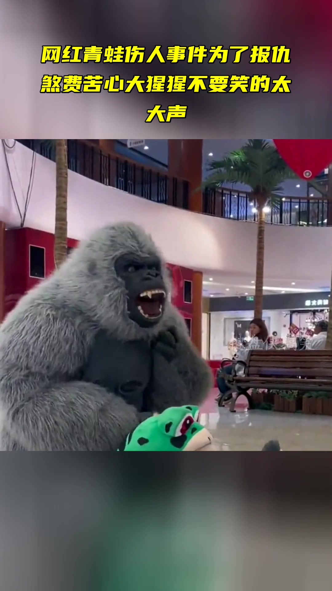 网红青蛙伤人事件 为了报仇煞费苦心 大猩猩不要笑的太大声-度小视