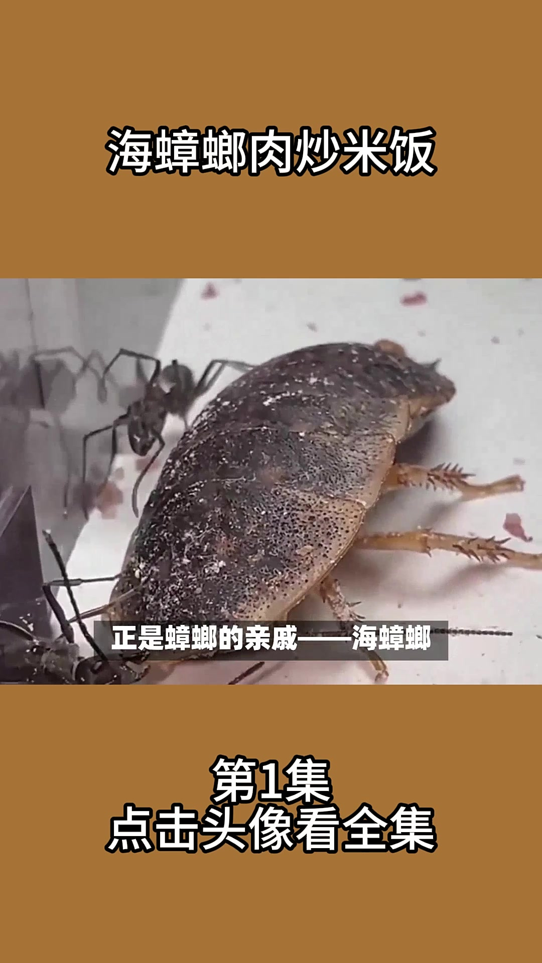 海蟑螂肉炒米饭1