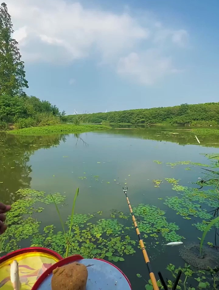 钓鱼人的快乐 户外野钓 钓鱼人就是这么疯狂