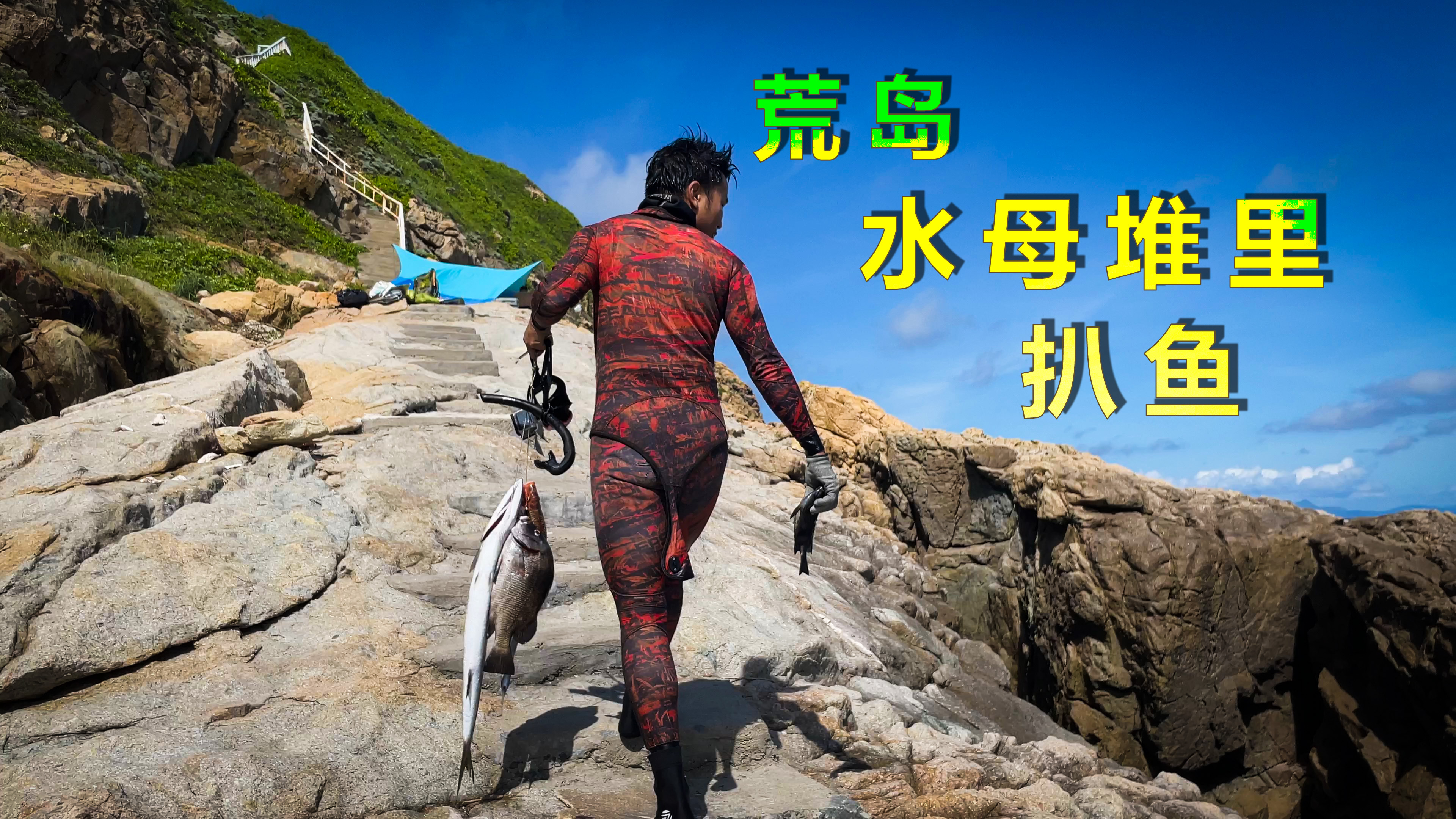 镜子在最原生态的荒岛潜水,从水母泛滥的海域追捕野生海鱼