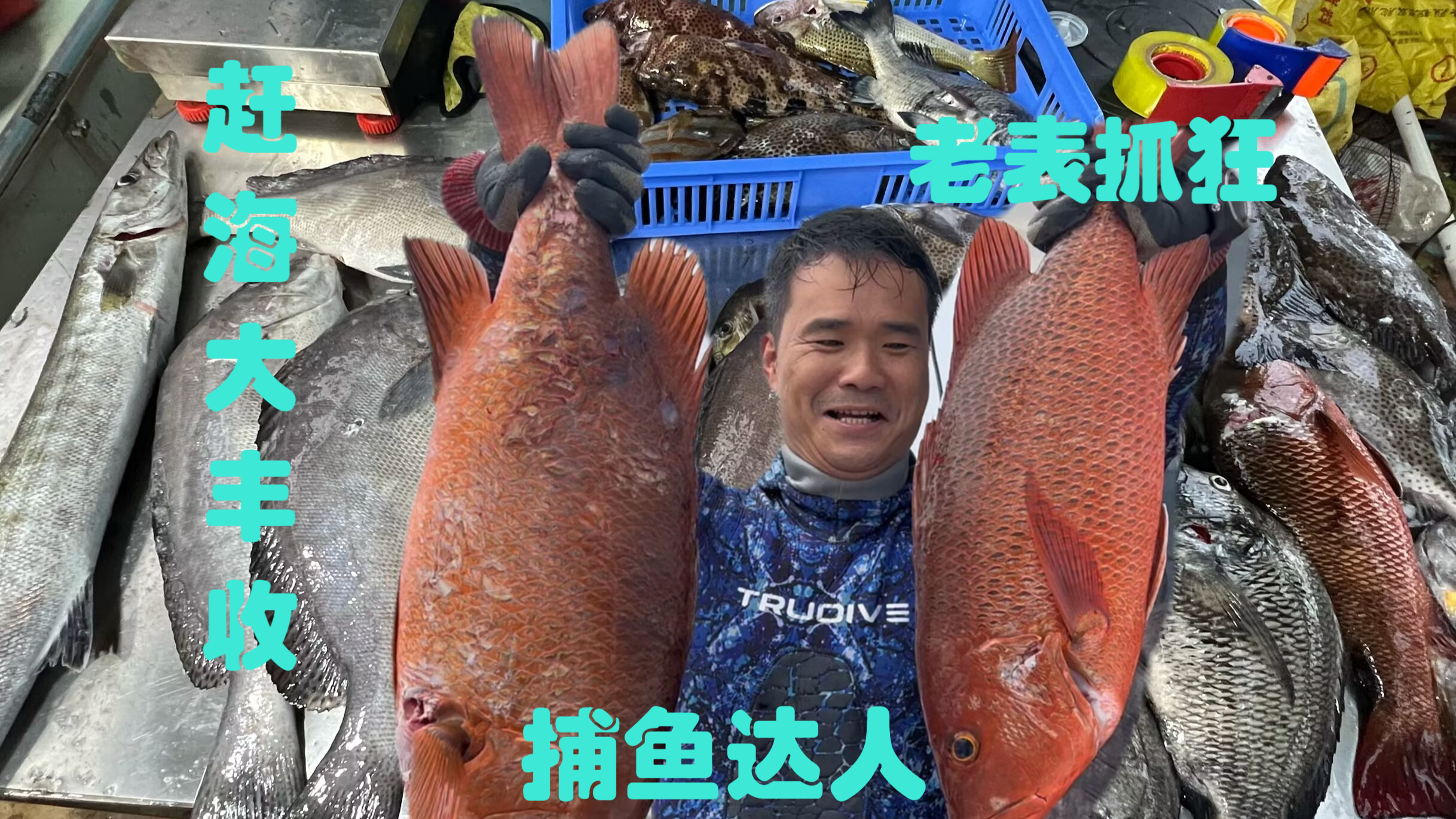 锋爸老船长带路探海,阿锋暴击100斤渔获,狂虐老表大腿拍肿