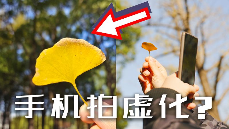 光圈大=虚化好?知道这几点,手机也能拍虚化,摄影,摄影教学,好看视频