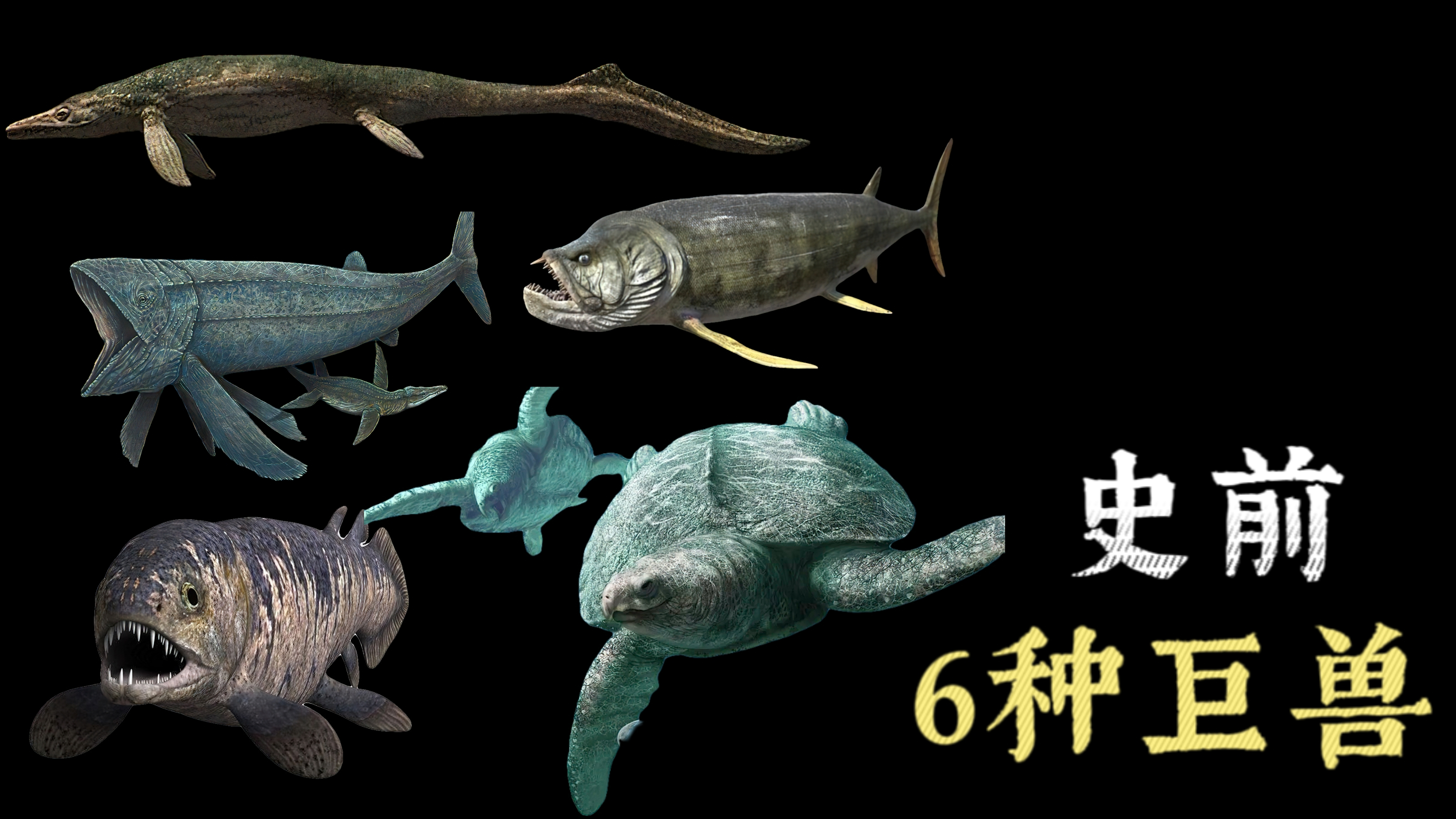 史前地球生存着6种可怕生物,这些鲜为人知的巨兽,你认识哪些?