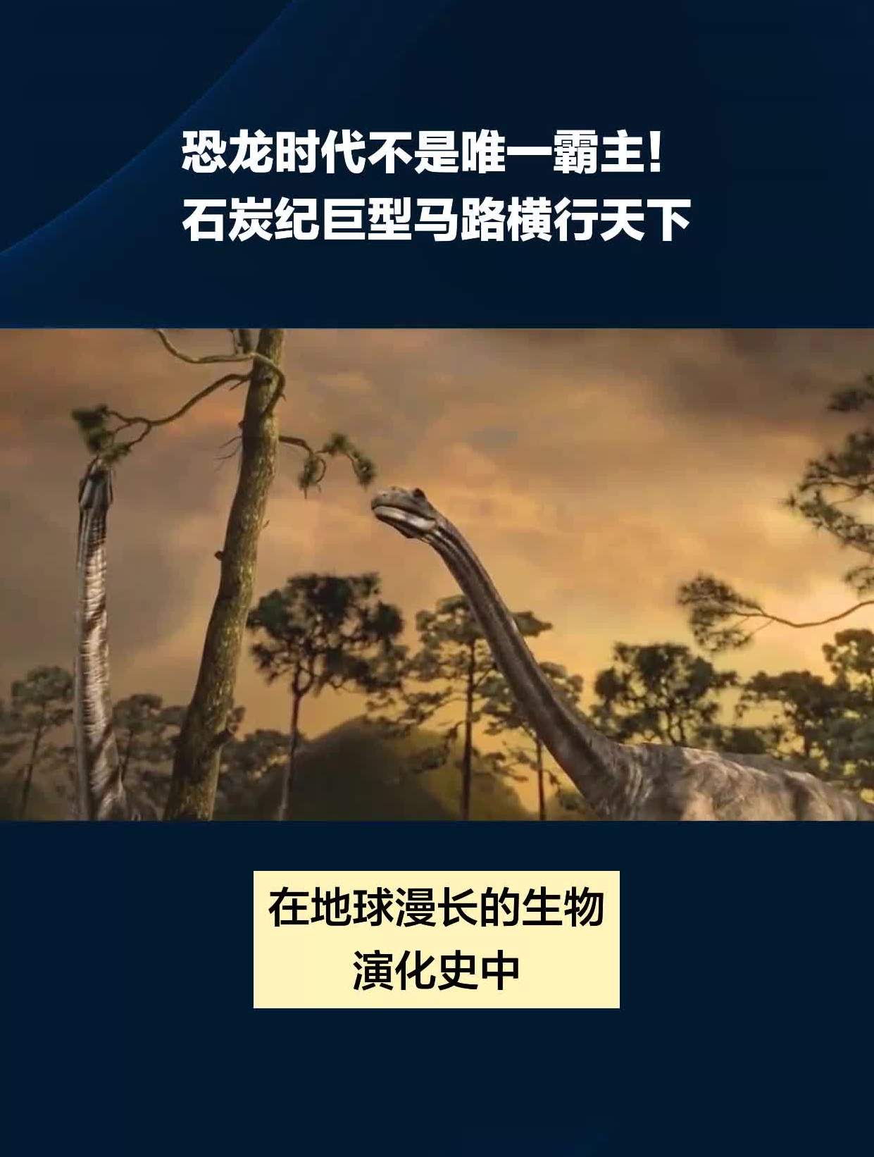 石炭纪霸主图片