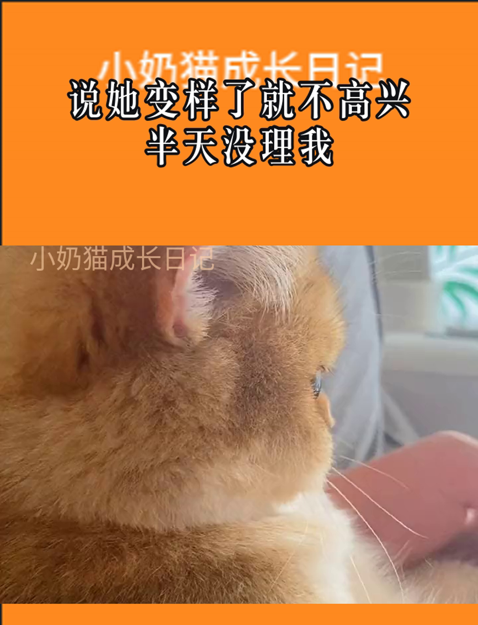 说她变样了就不高兴,半天没理我