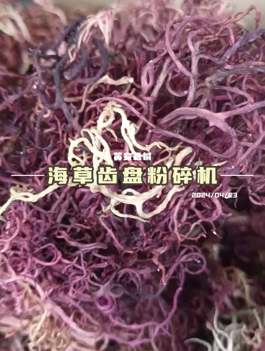 海草粉碎机香辛料粉碎机桂皮草果打粉机中药磨粉机 不锈钢粉碎机