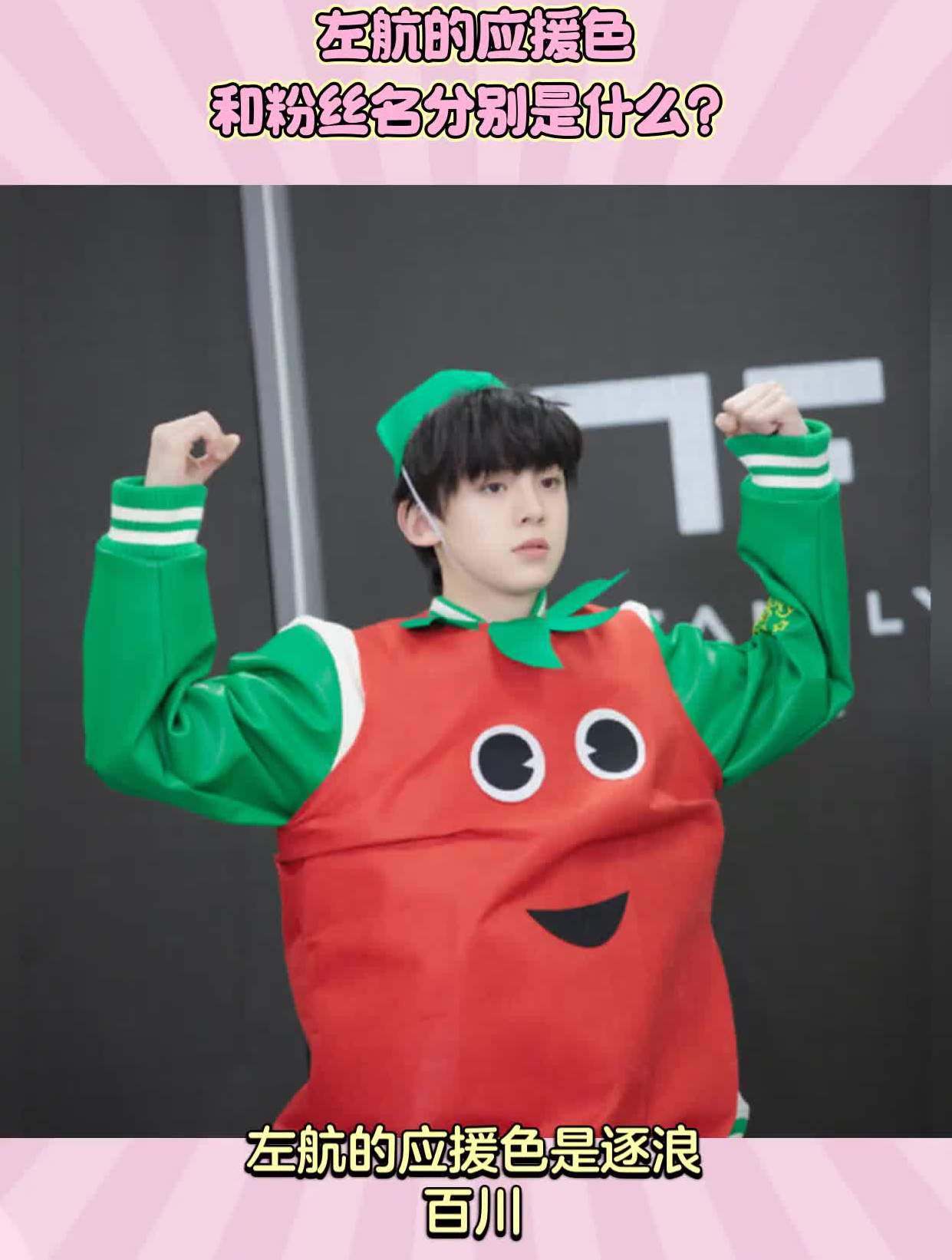 左航的应援色和粉丝名分别是什么?