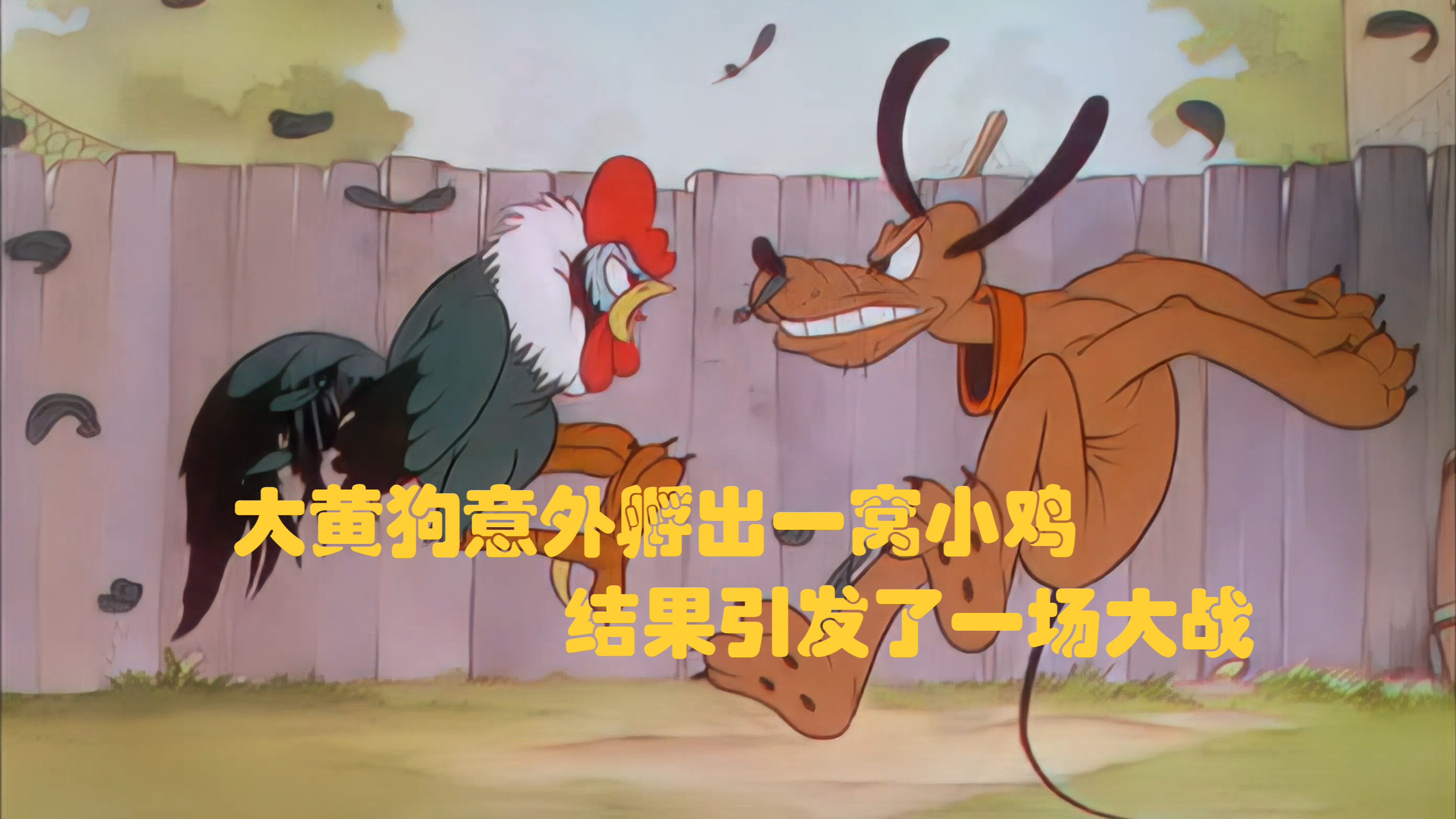 大黄狗意外孵出一窝小鸡,结果引发了一场大战