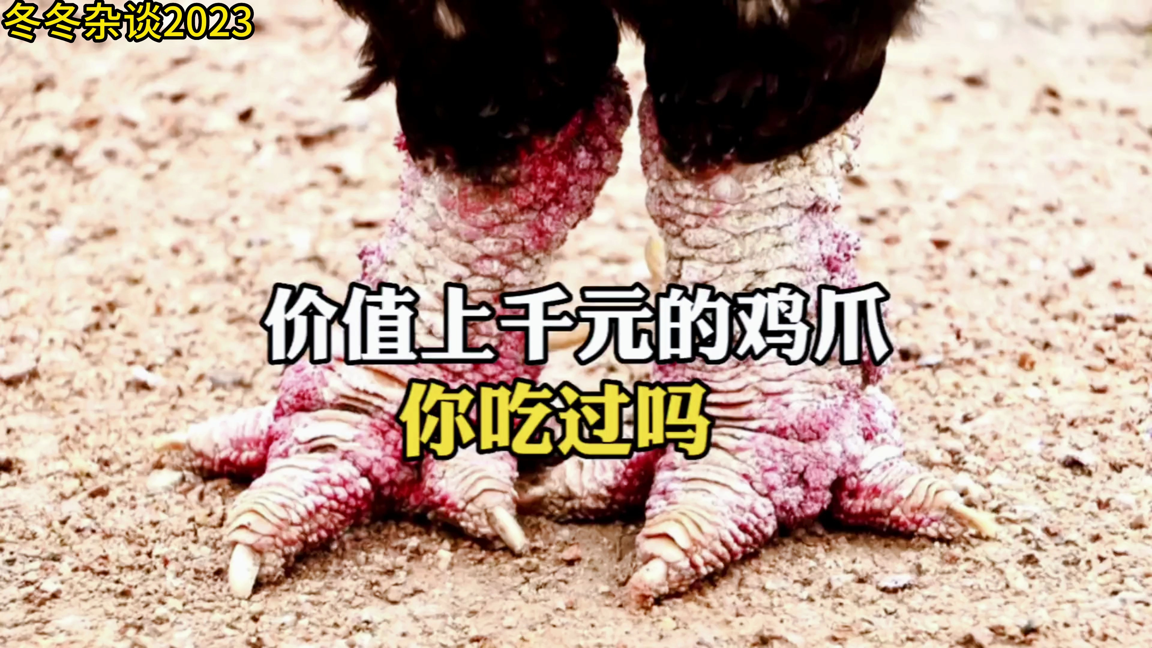 世界上最贵的鸡爪,一只鸡爪一千多,曾被当作贡品,你想吃吗