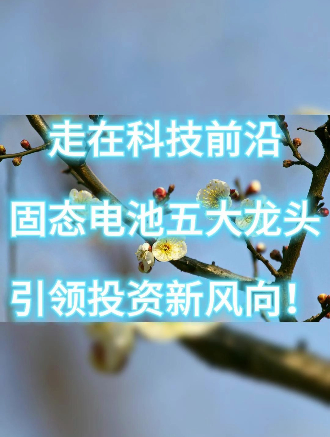 走在科技前沿固态电池五大龙头引领投资新风向