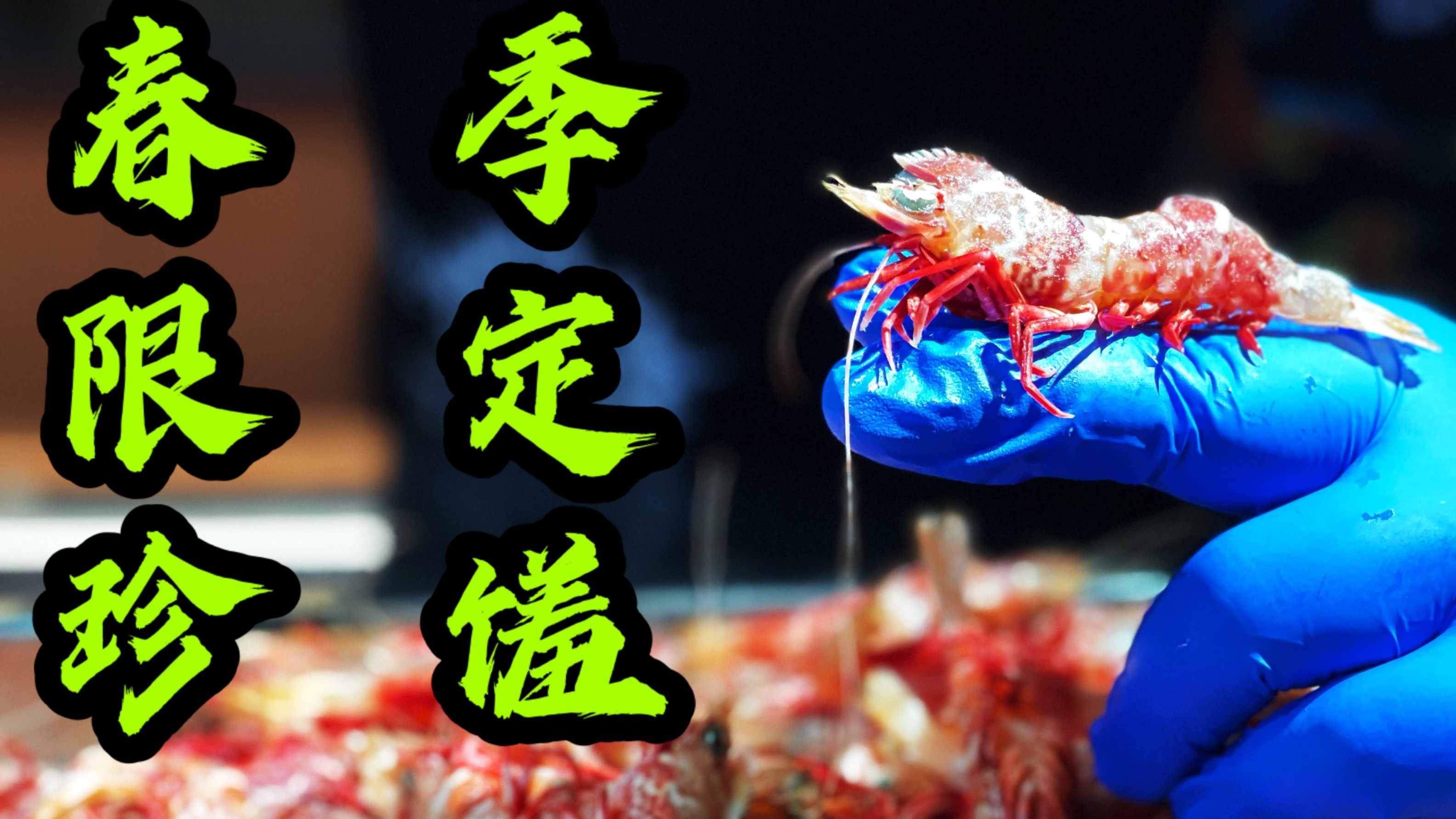 自带索尼克发型~最好吃的白灼虾竟然是它!