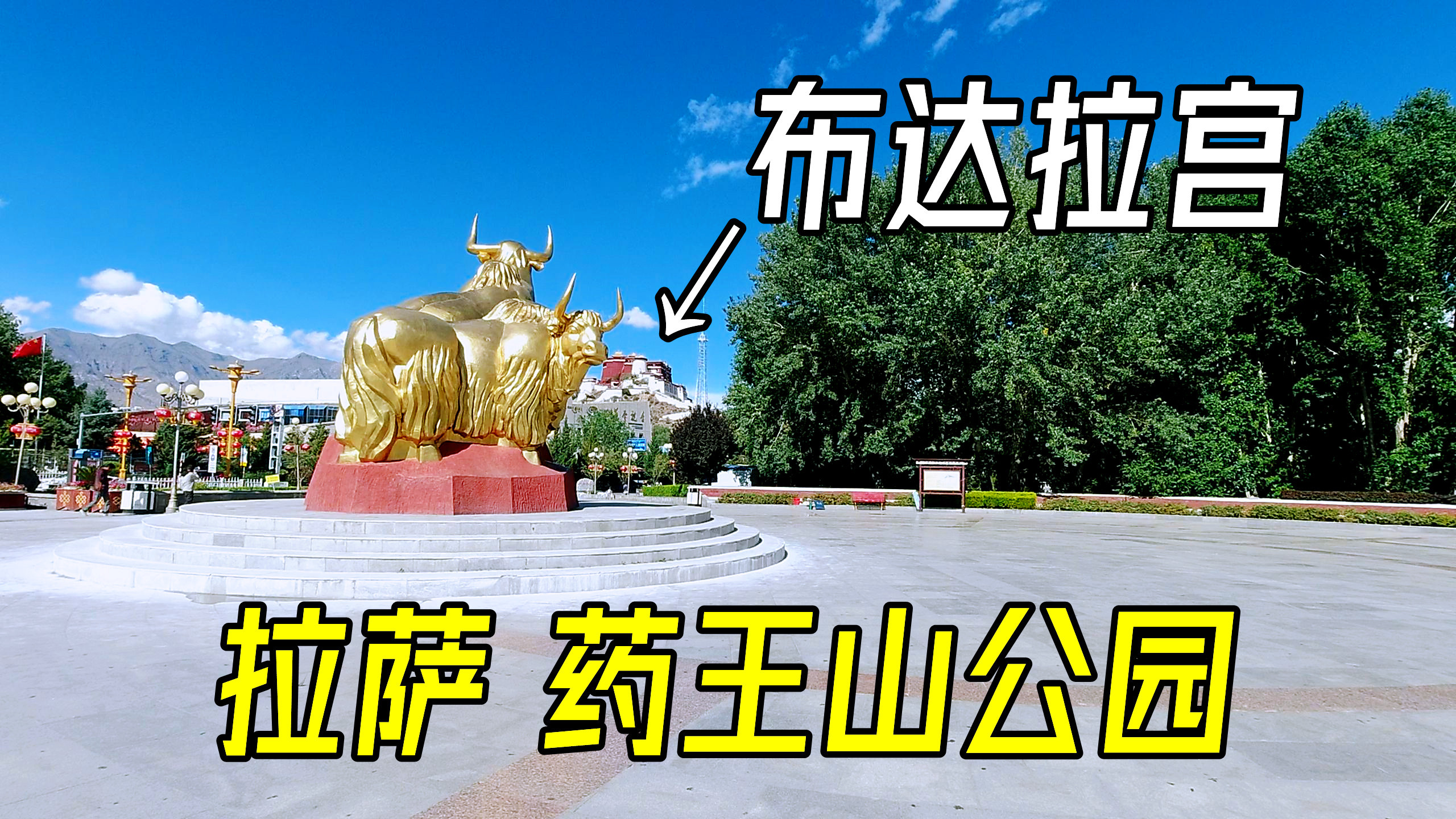 拉萨药王山公园,就在布达拉宫右侧,一头牦牛望向布达拉宫