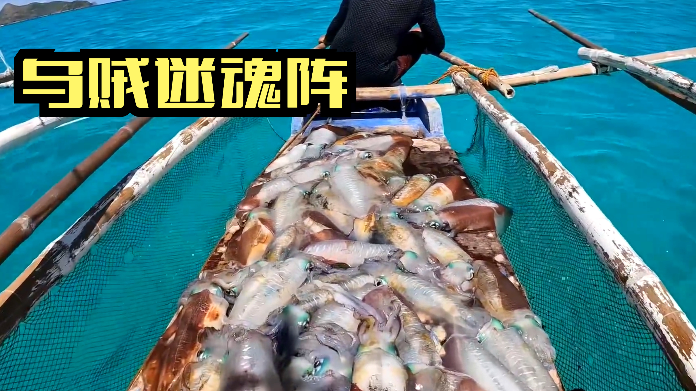 海底布置大型的捕鱼迷魂阵,大量乌贼就会自动自觉地进入到里面
