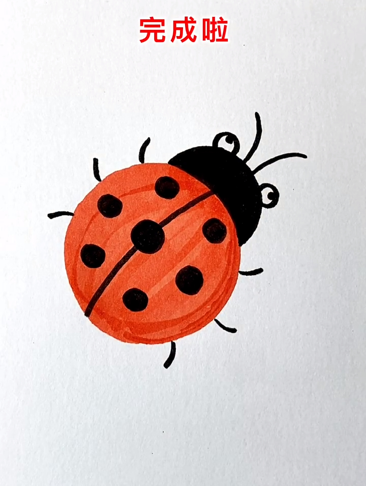 七星瓢虫这样画,你学会了吗,简笔画-度小视