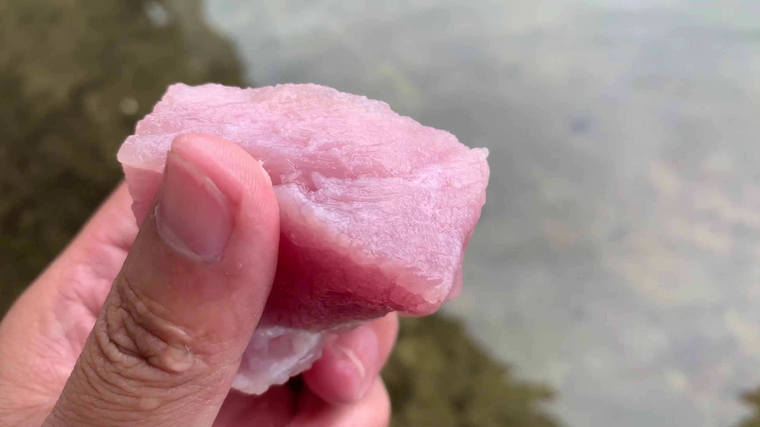 瘦肉打窝看看能钓什么鱼,水下高清呈现!