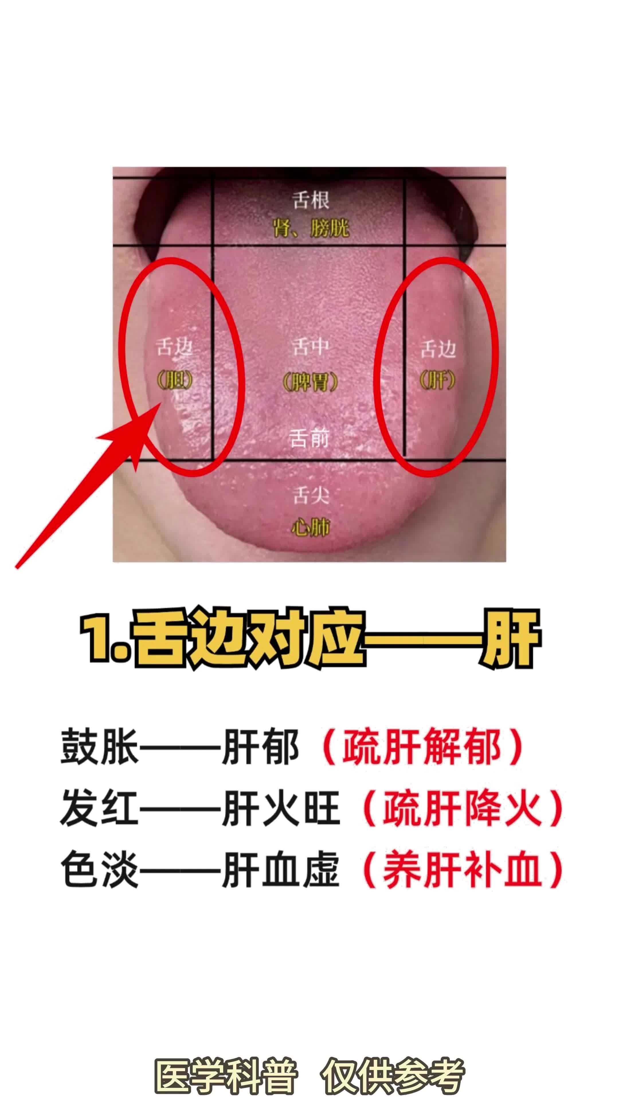 舌象对应的五脏说明了什么,一次性总结给你!
