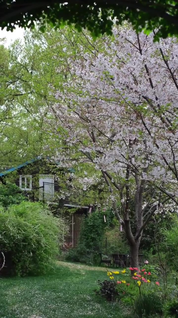 拜访无锡私家花园山友的花园