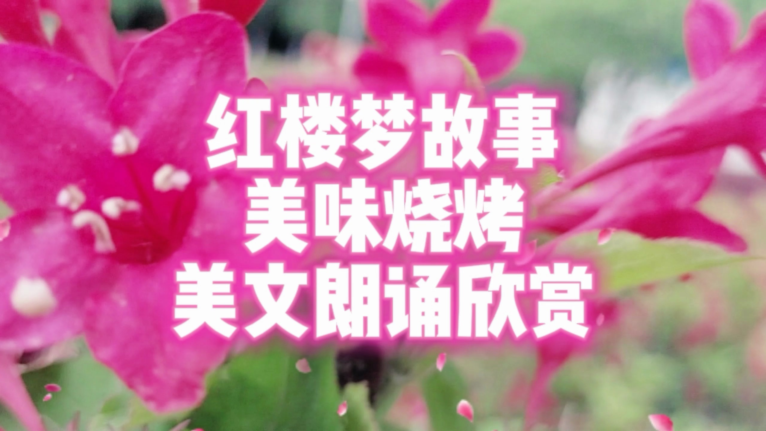 红楼梦故事 美味烧烤 美文朗诵欣赏 昨日重现 甜到了