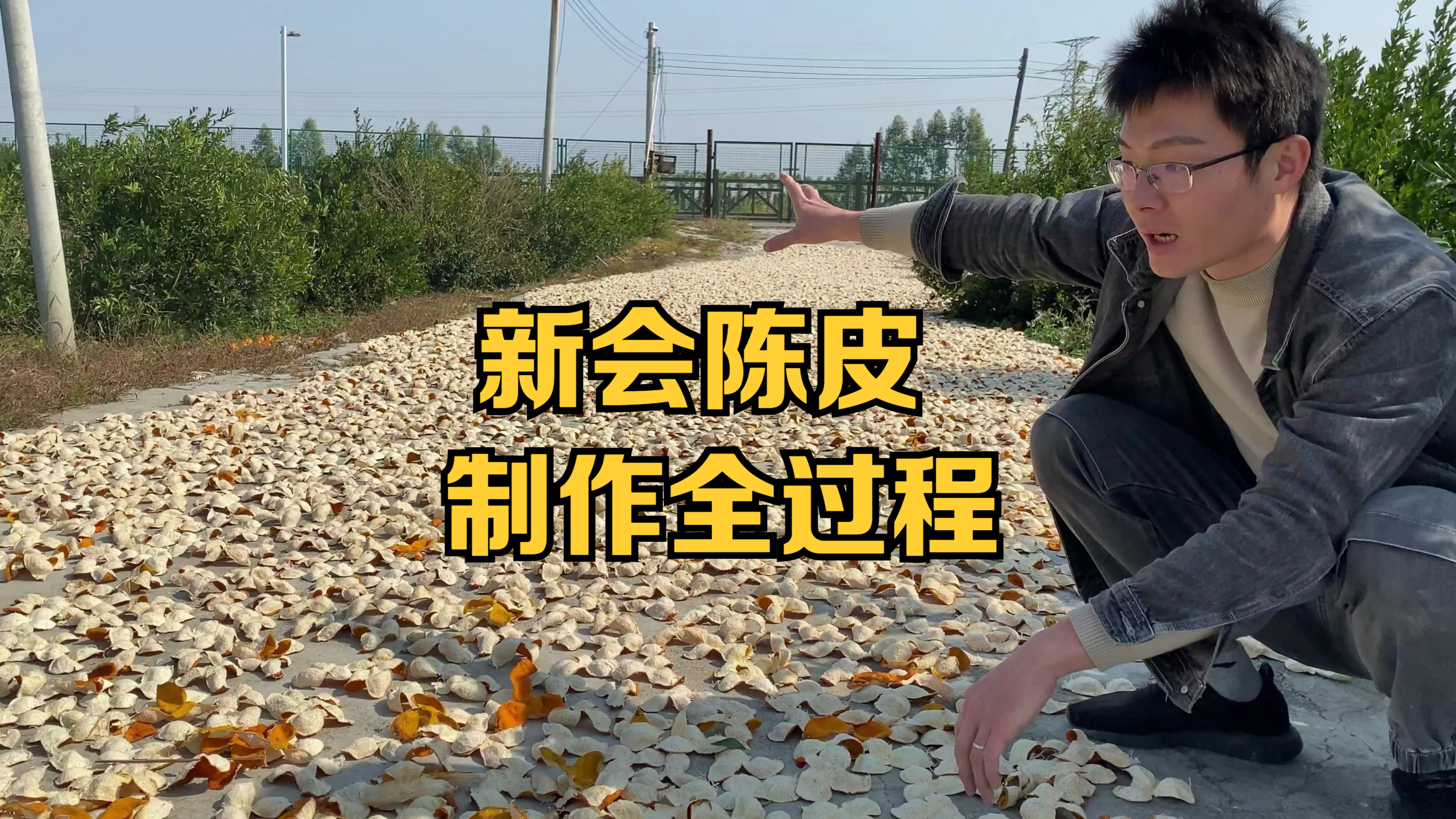 新会陈皮是怎样制作出来的?今天带你见识整个制作流程!