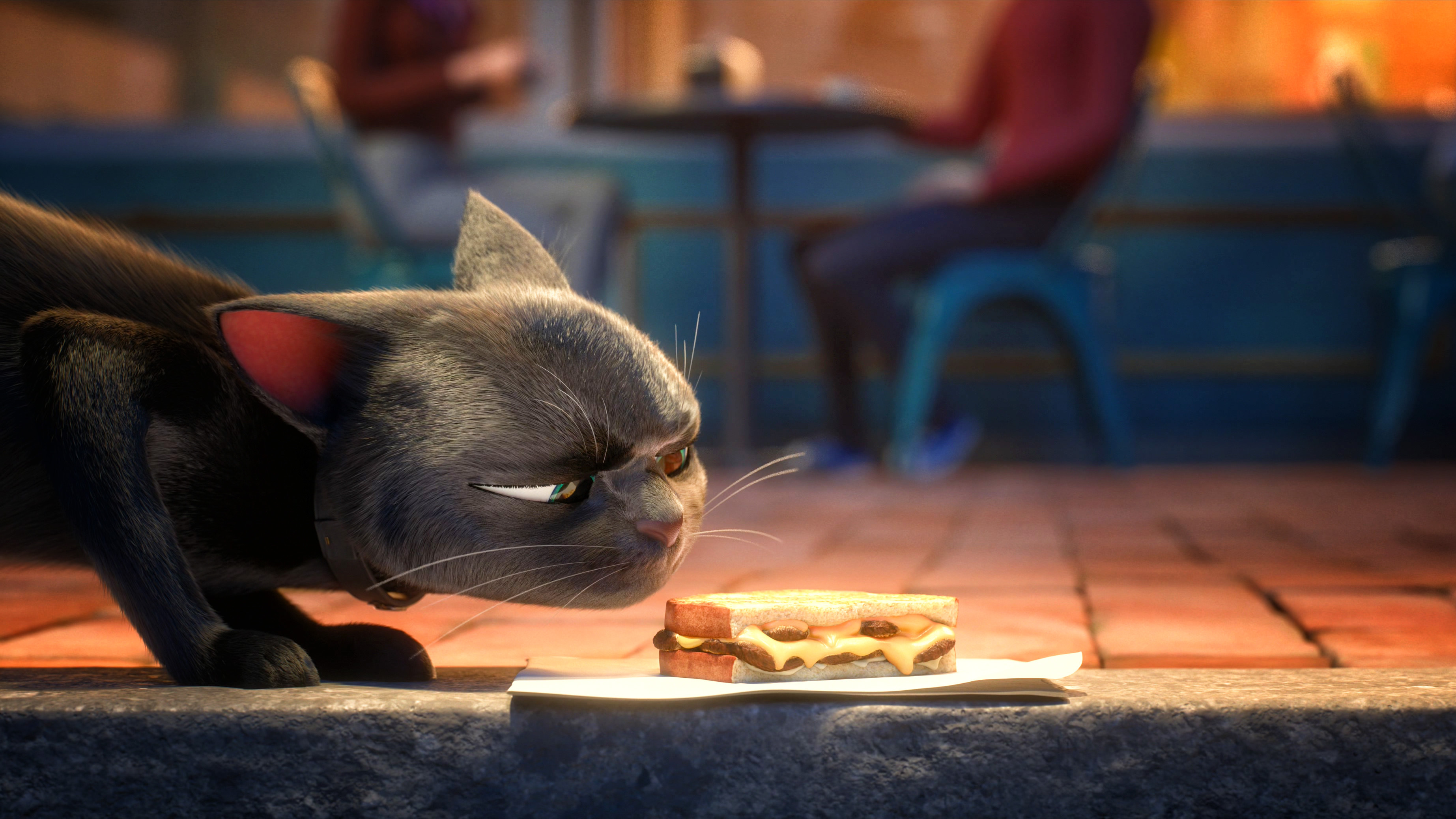 倒霉女孩遇见幸运黑猫,从此开启逆天改命人生!